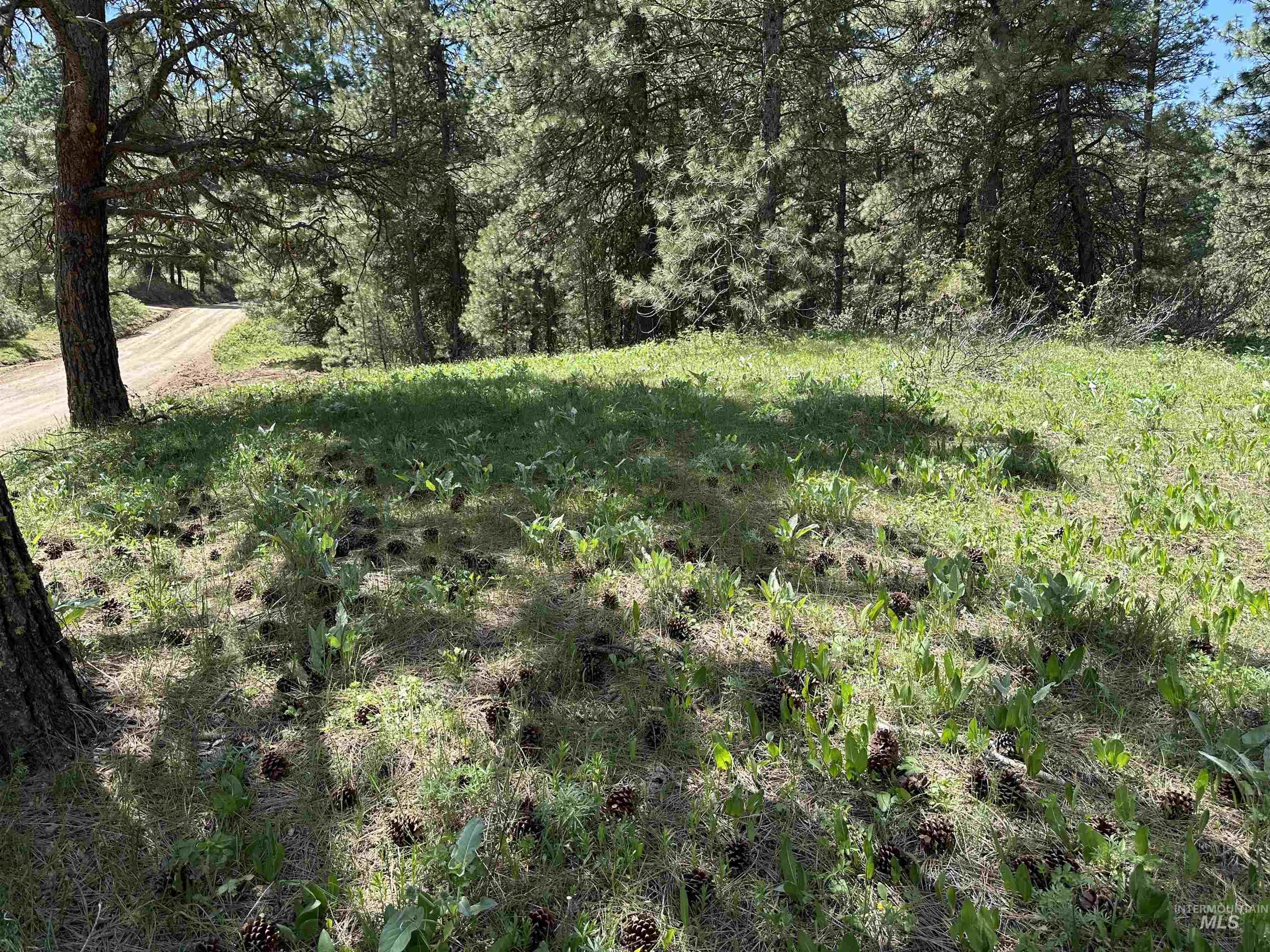 TBD Cruickshank Rd, Banks, Idaho 83602, Land For Sale, Price $165,000,MLS 98985214