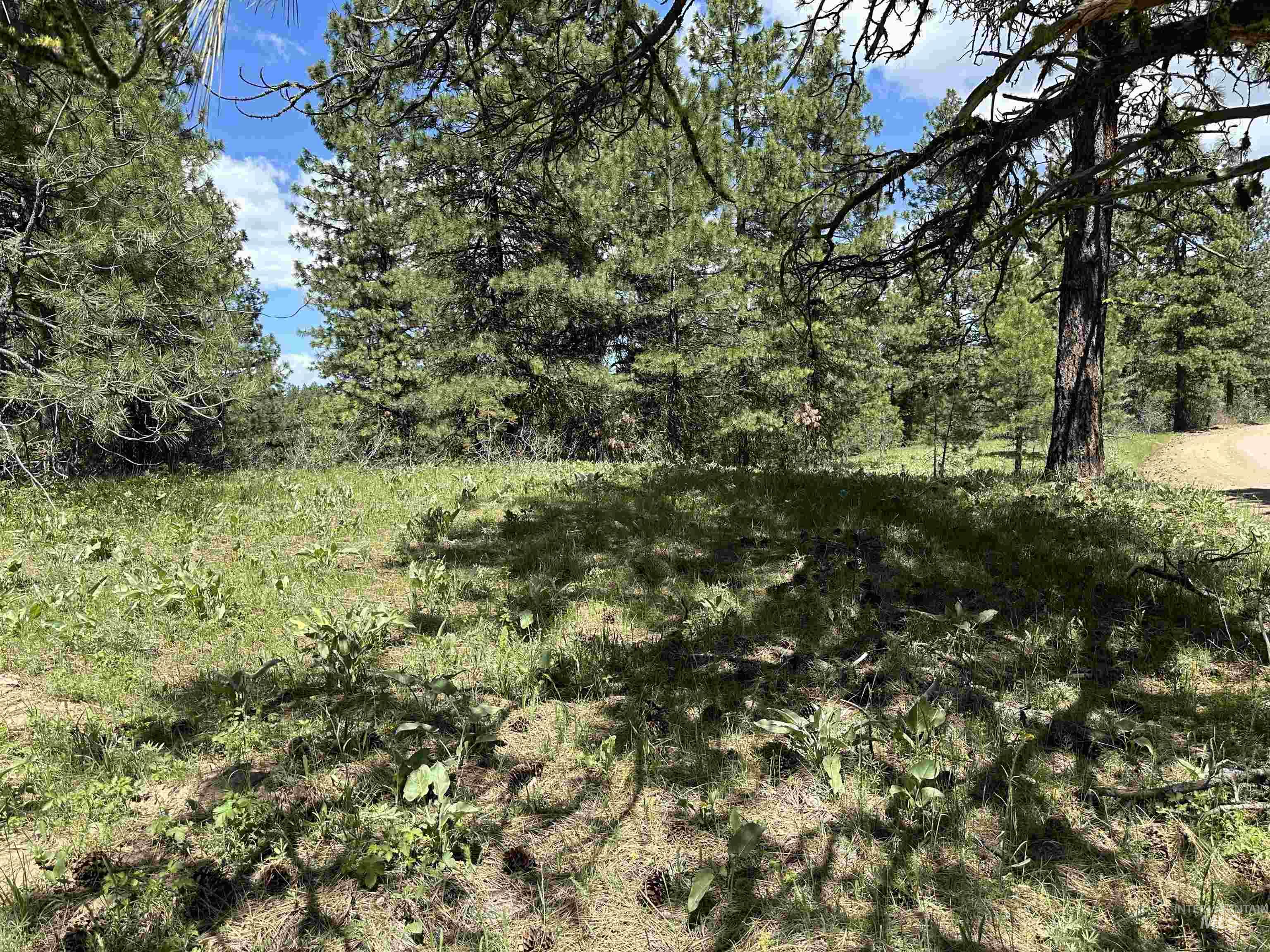 TBD Cruickshank Rd, Banks, Idaho 83602, Land For Sale, Price $165,000,MLS 98985214