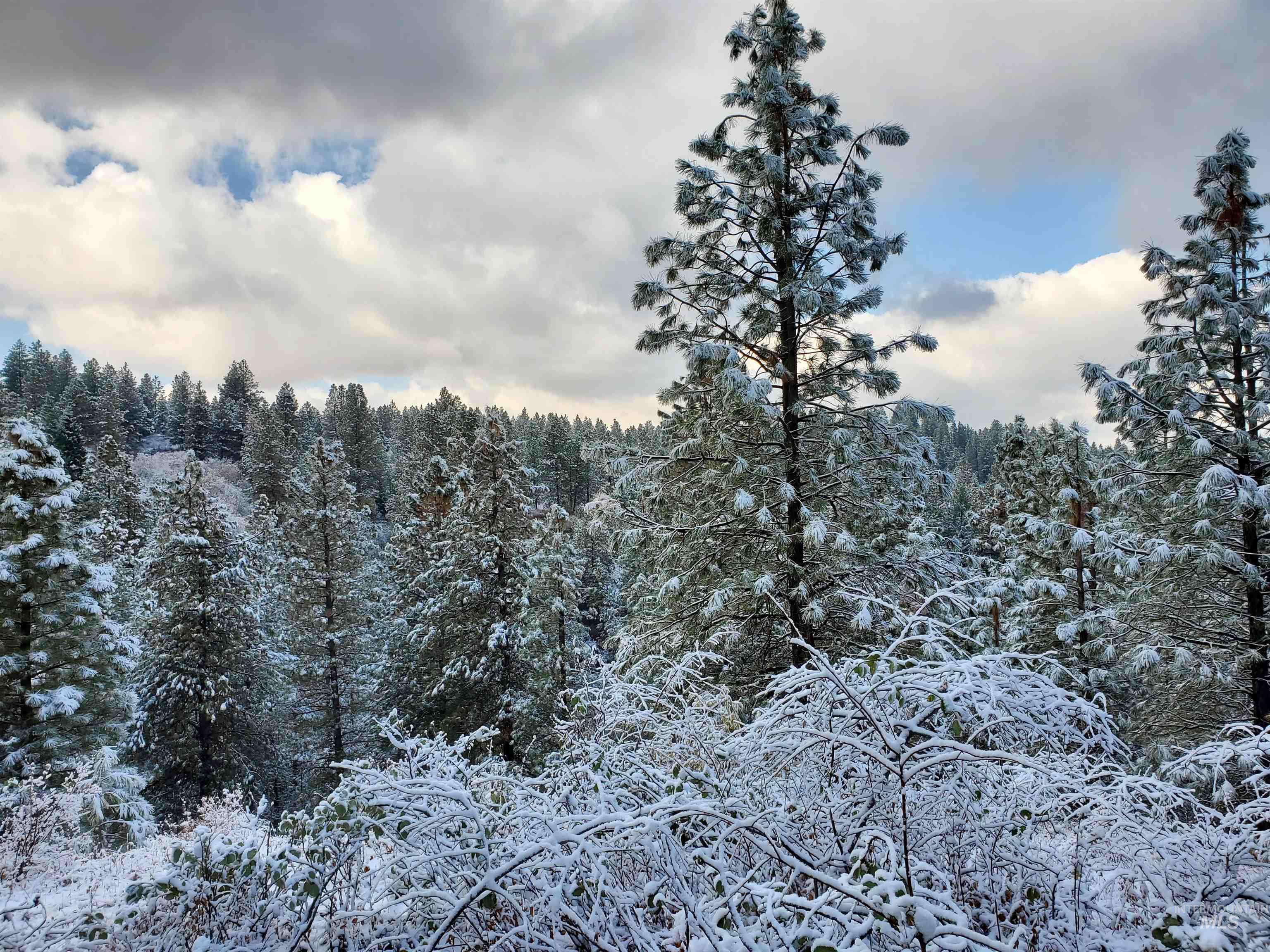 TBD Cruickshank Rd, Banks, Idaho 83602, Land For Sale, Price $165,000, 98985214