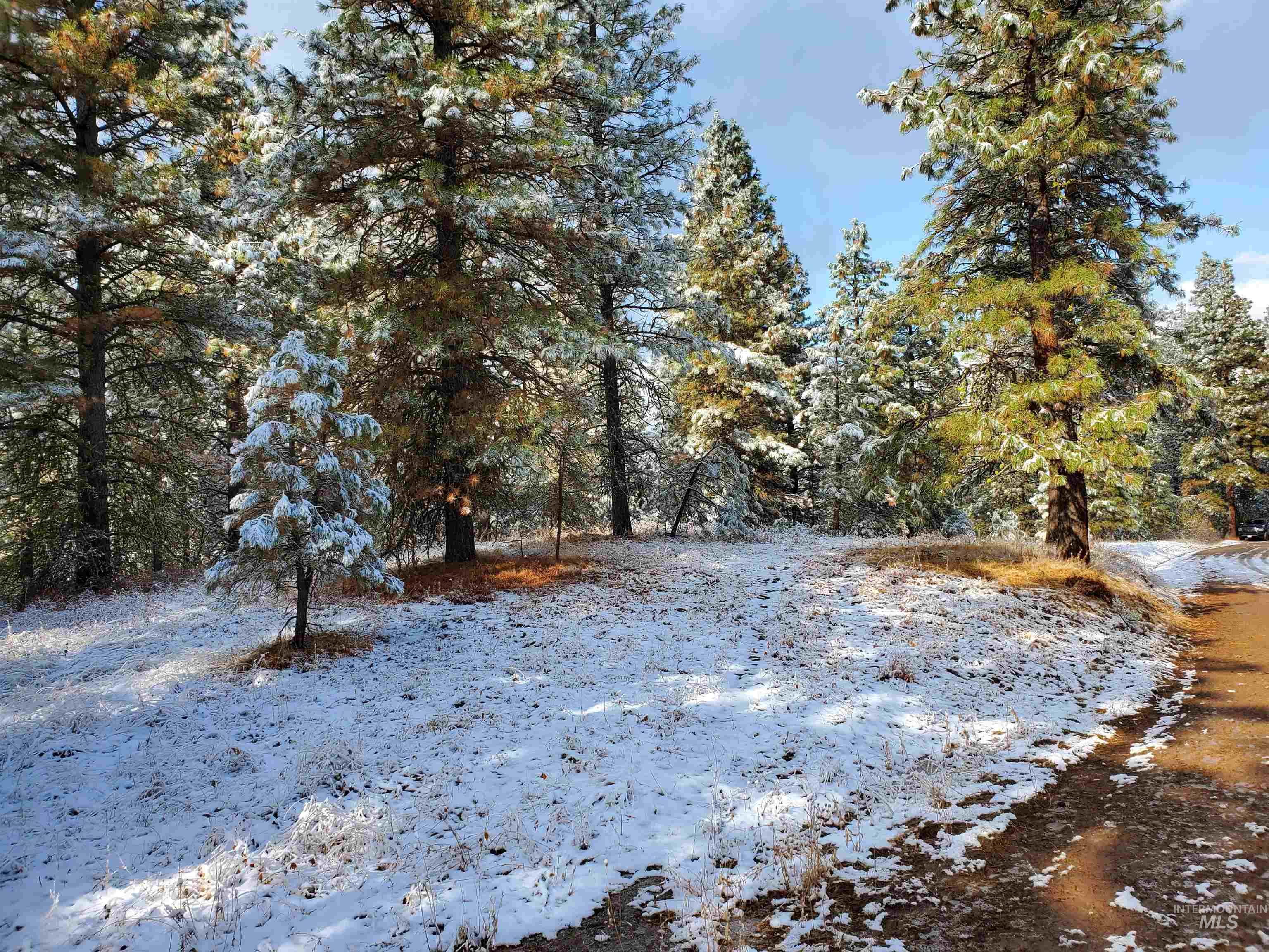 TBD Cruickshank Rd, Banks, Idaho 83602, Land For Sale, Price $165,000, 98985214