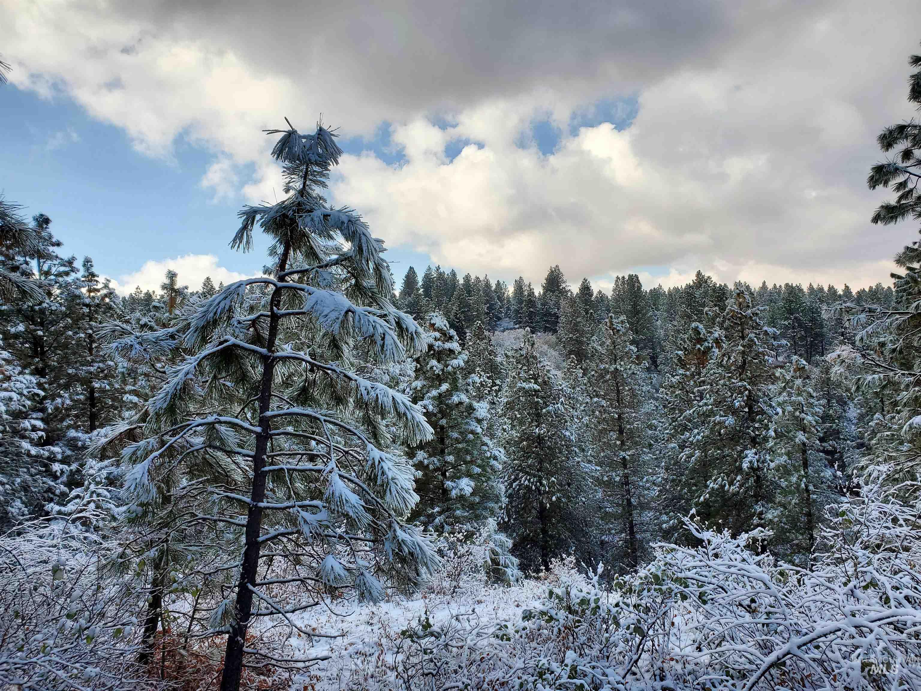 TBD Cruickshank Rd, Banks, Idaho 83602, Land For Sale, Price $165,000, 98985214
