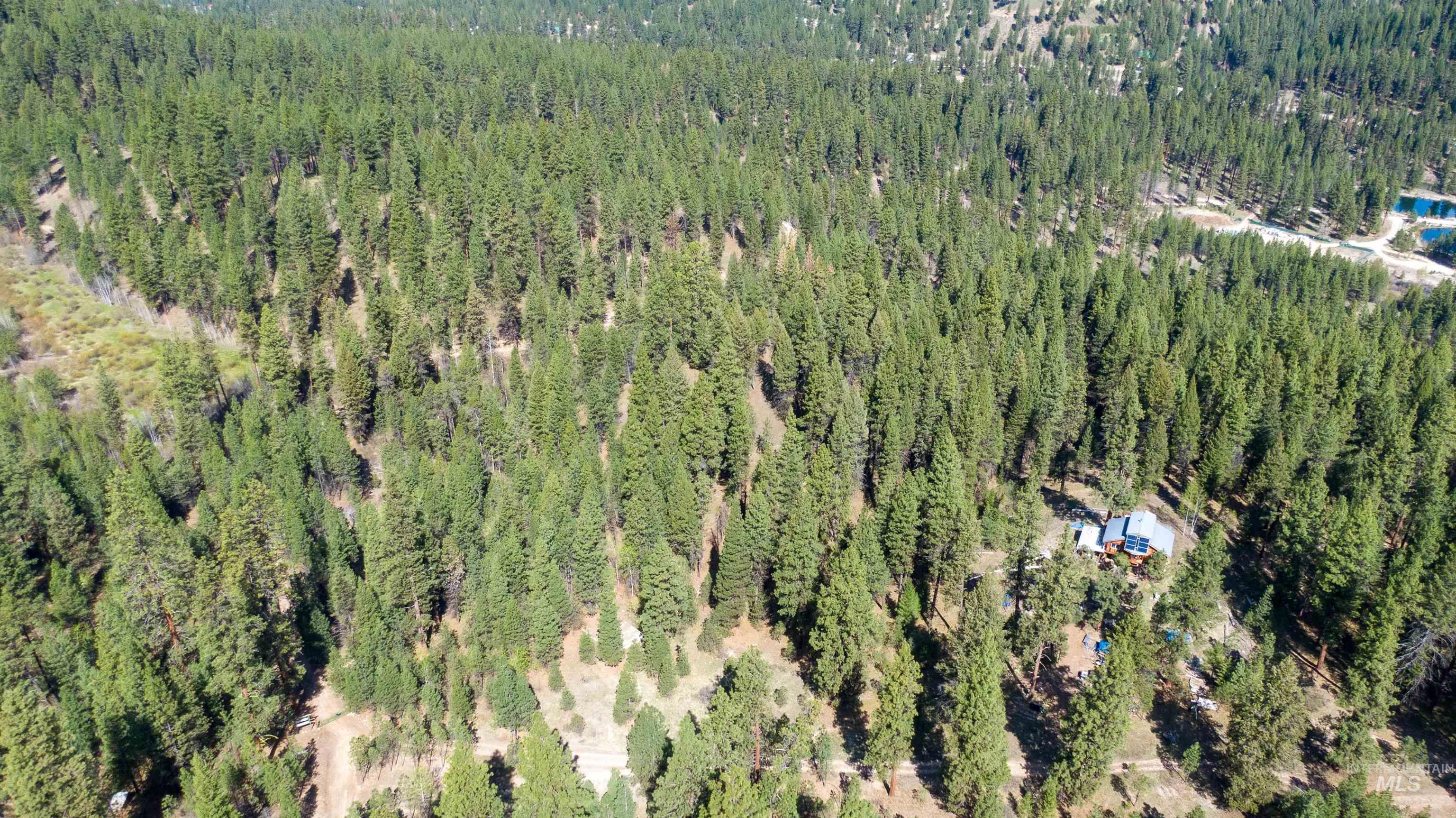 8 Birch Blossom Trl, Lowman, Idaho 83637, Land For Sale, Price $99,000,MLS 98985226