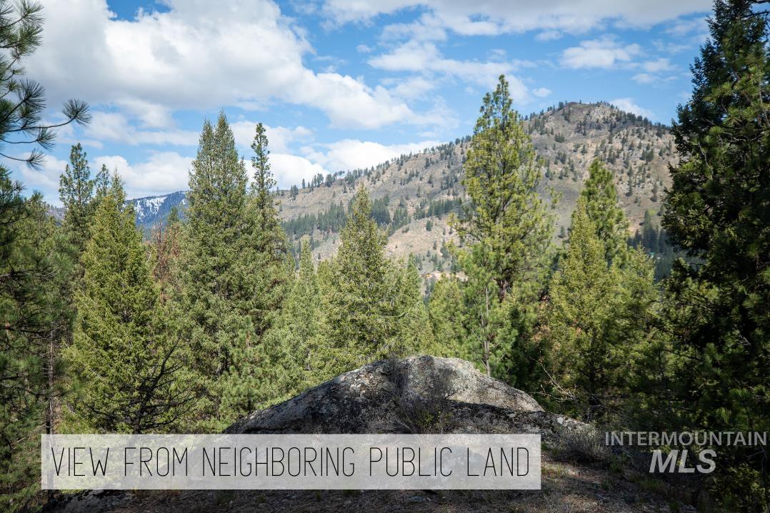8 Birch Blossom Trl, Lowman, Idaho 83637, Land For Sale, Price $99,000,MLS 98985226
