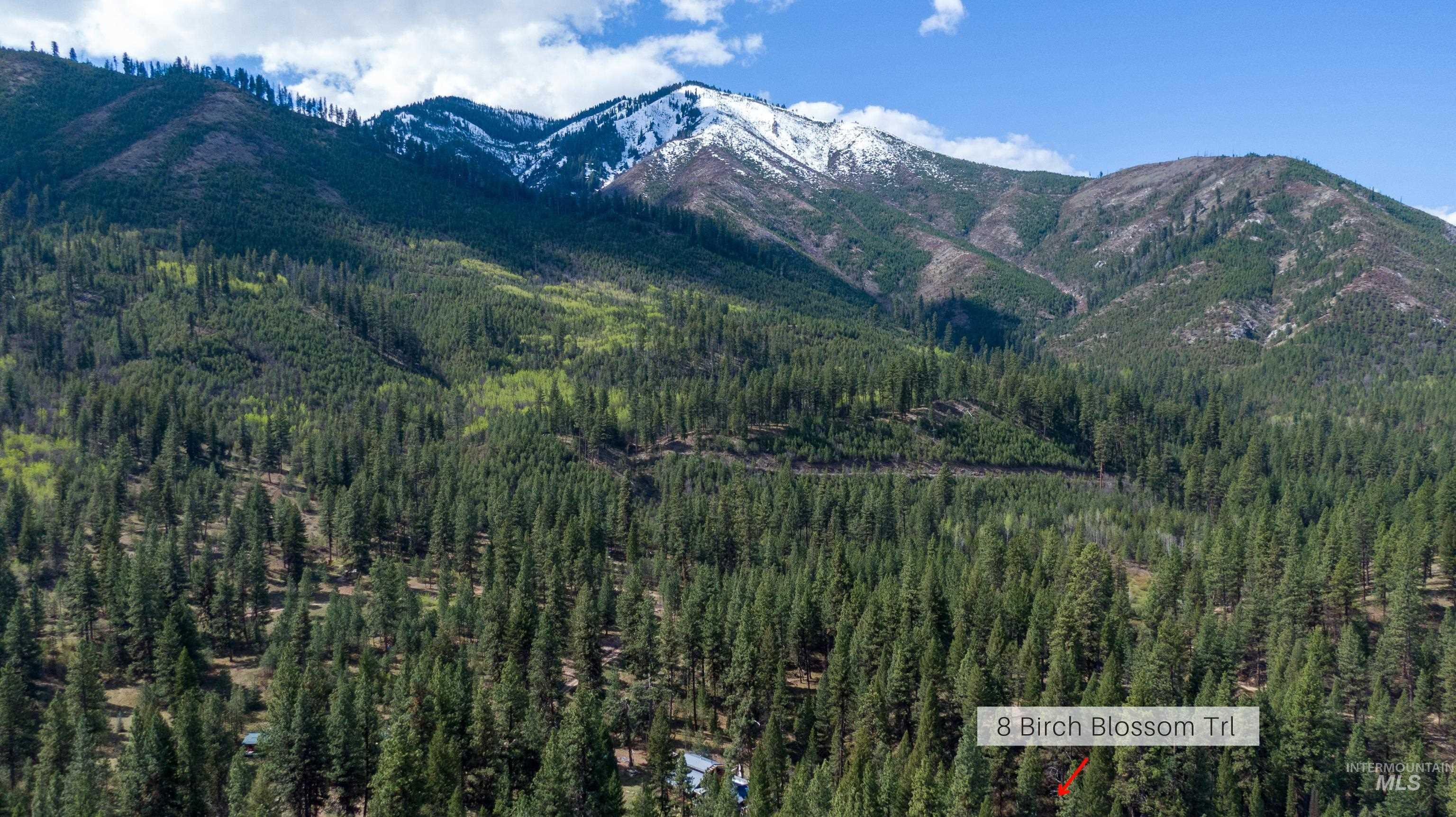 8 Birch Blossom Trl, Lowman, Idaho 83637, Land For Sale, Price $99,000,MLS 98985226