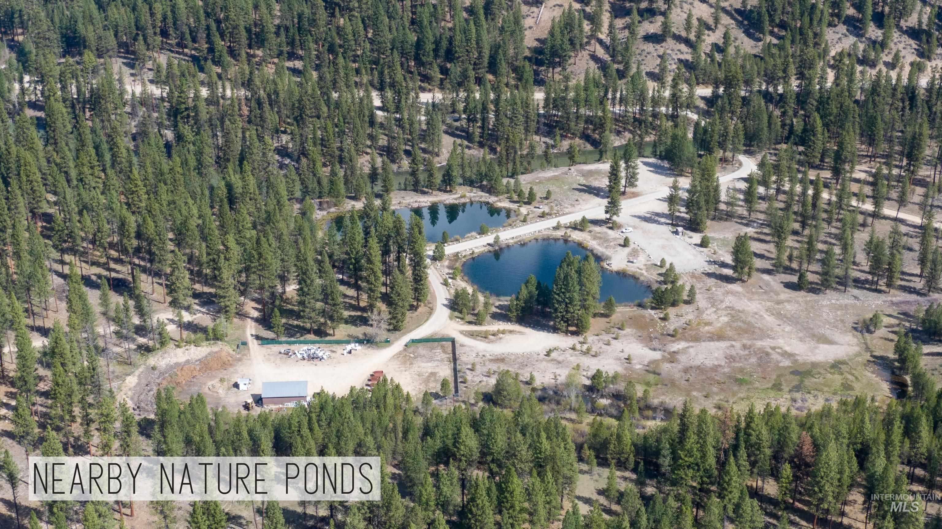 8 Birch Blossom Trl, Lowman, Idaho 83637, Land For Sale, Price $99,000,MLS 98985226