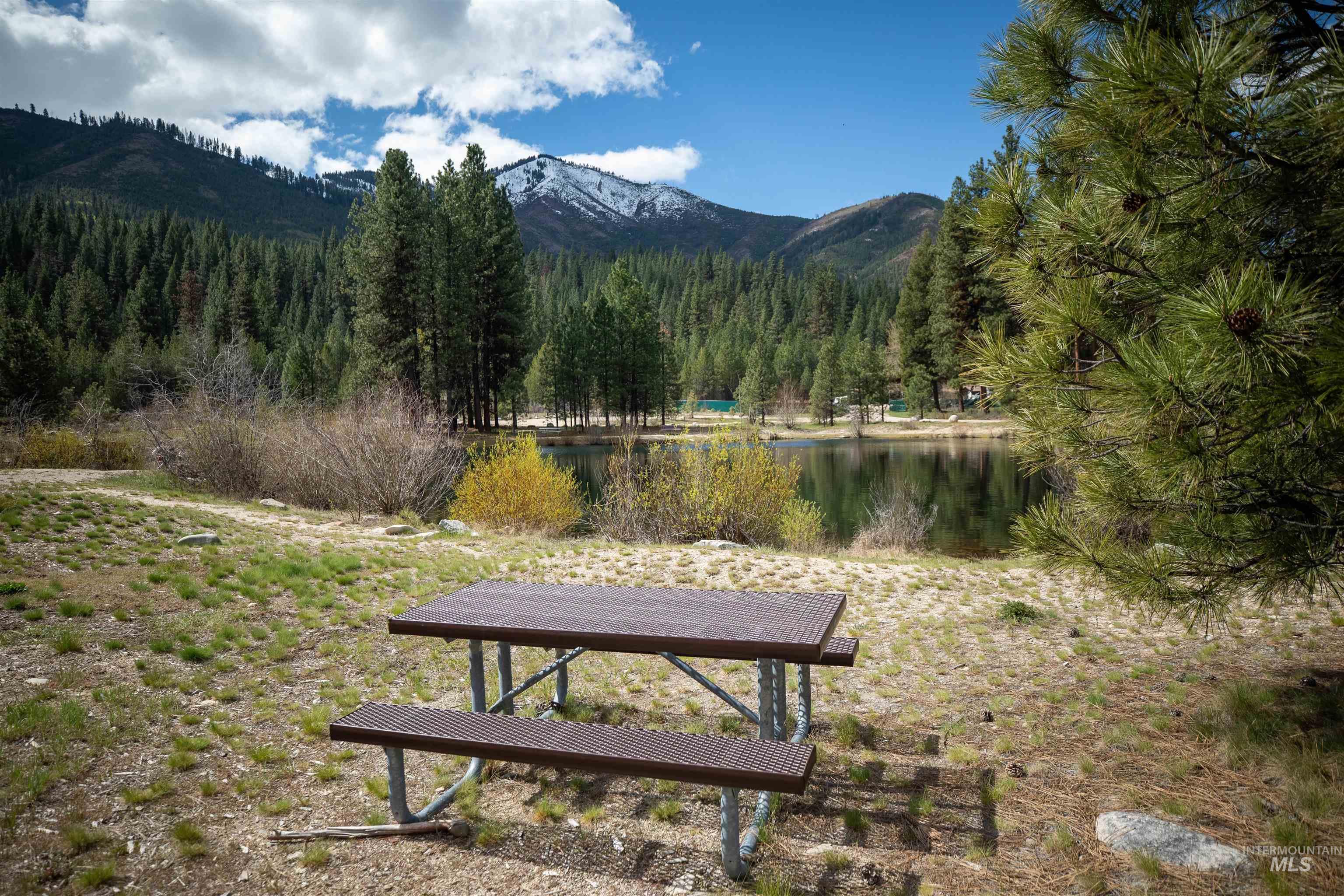8 Birch Blossom Trl, Lowman, Idaho 83637, Land For Sale, Price $99,000,MLS 98985226