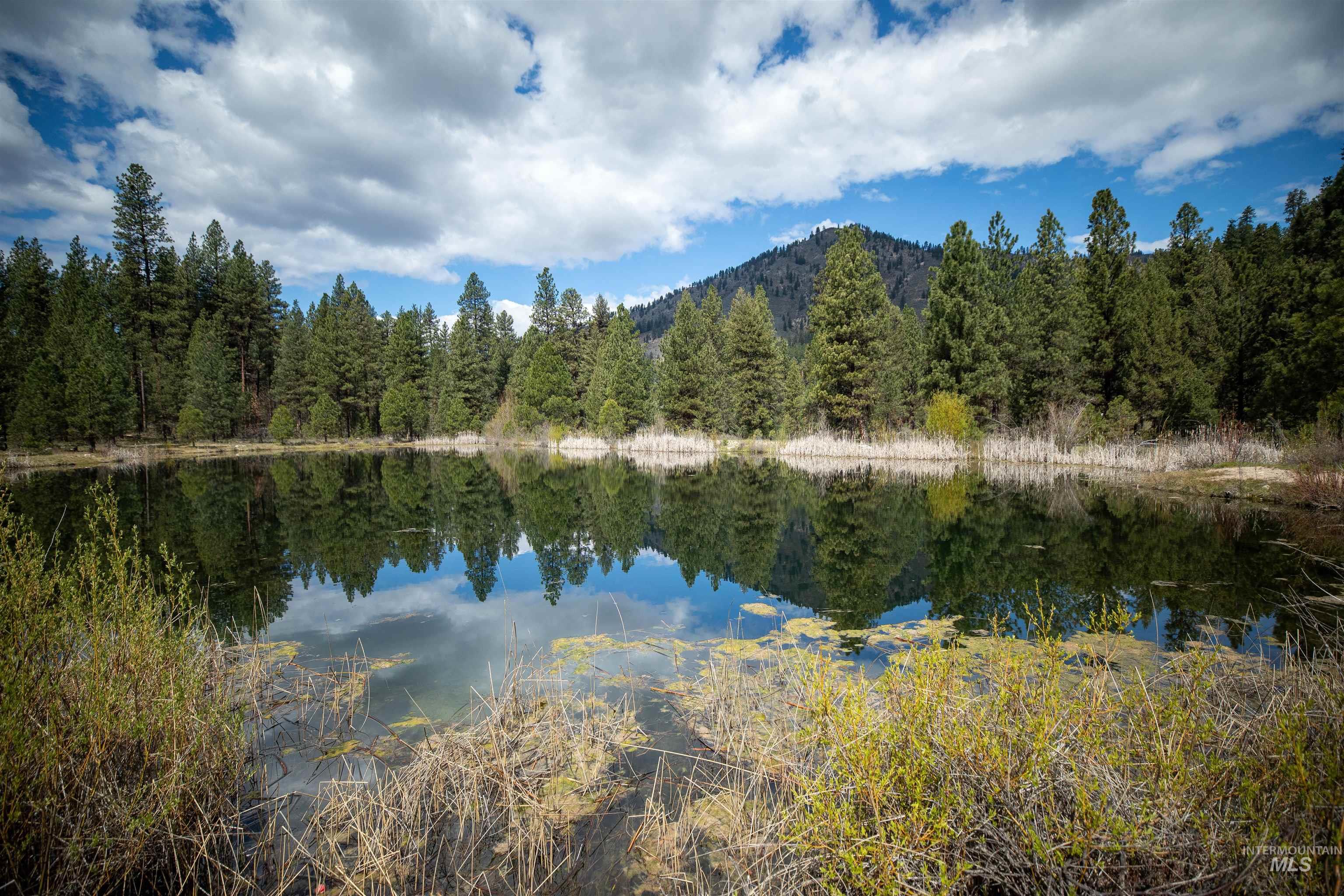8 Birch Blossom Trl, Lowman, Idaho 83637, Land For Sale, Price $99,000,MLS 98985226