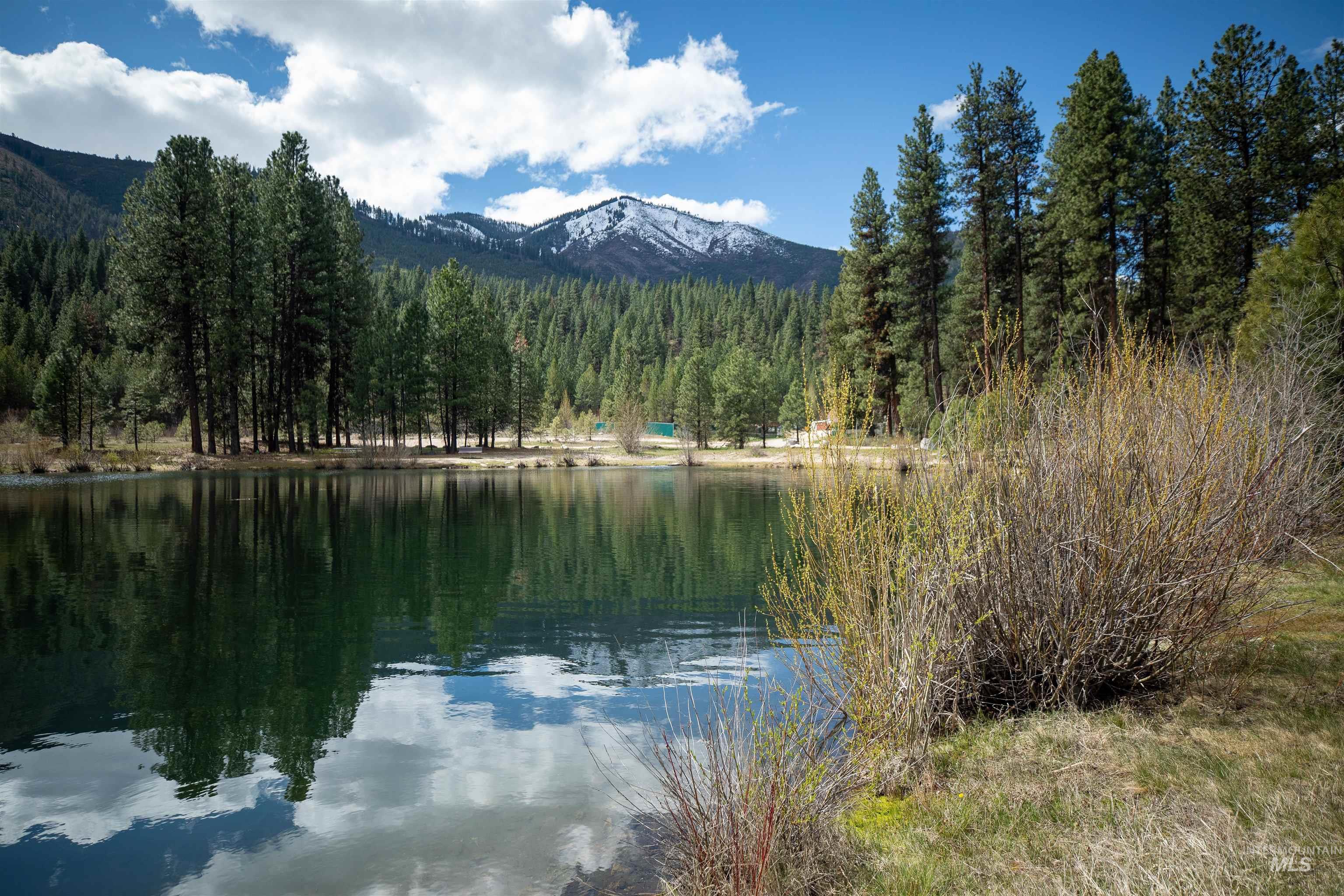 8 Birch Blossom Trl, Lowman, Idaho 83637, Land For Sale, Price $99,000,MLS 98985226