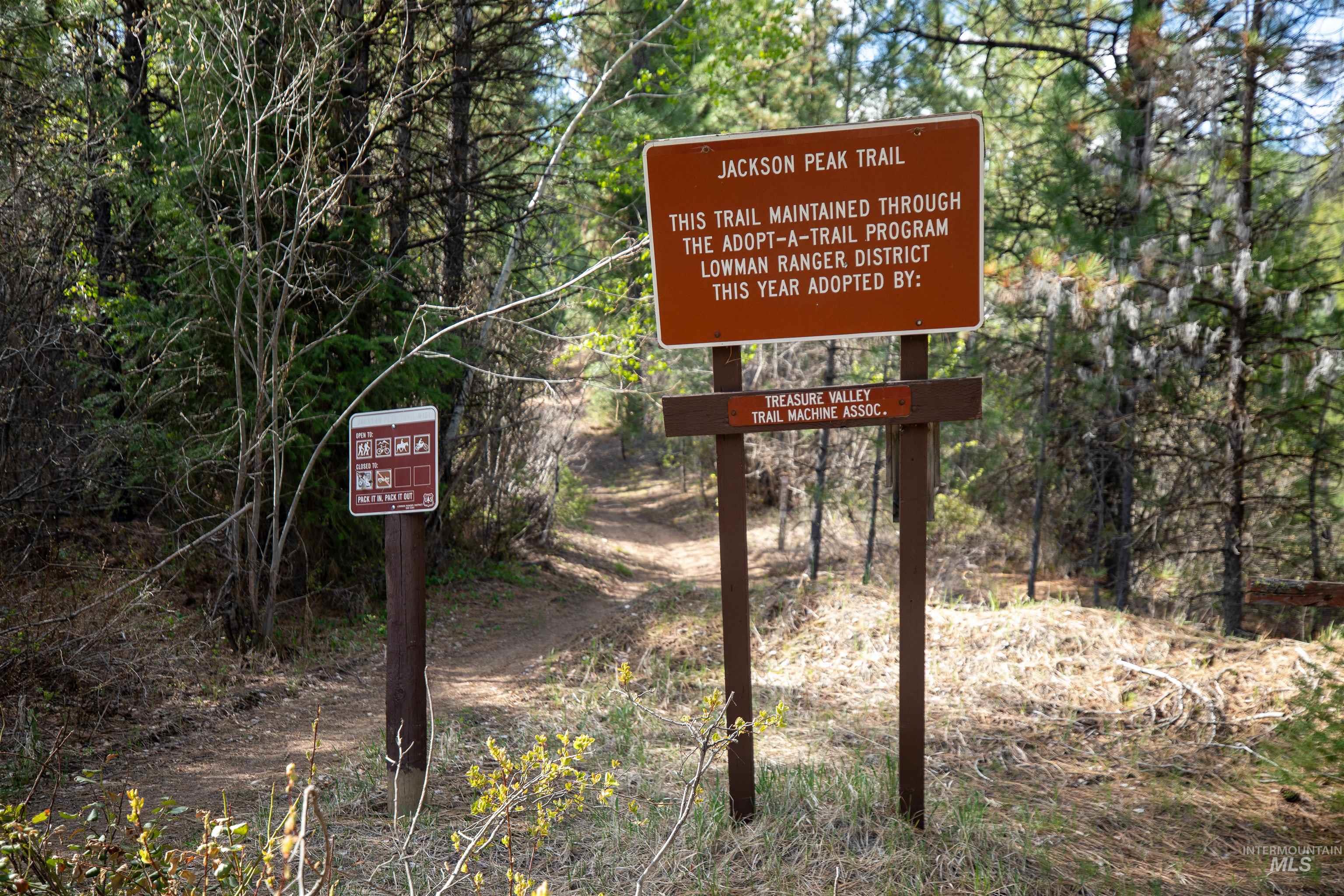 8 Birch Blossom Trl, Lowman, Idaho 83637, Land For Sale, Price $99,000,MLS 98985226