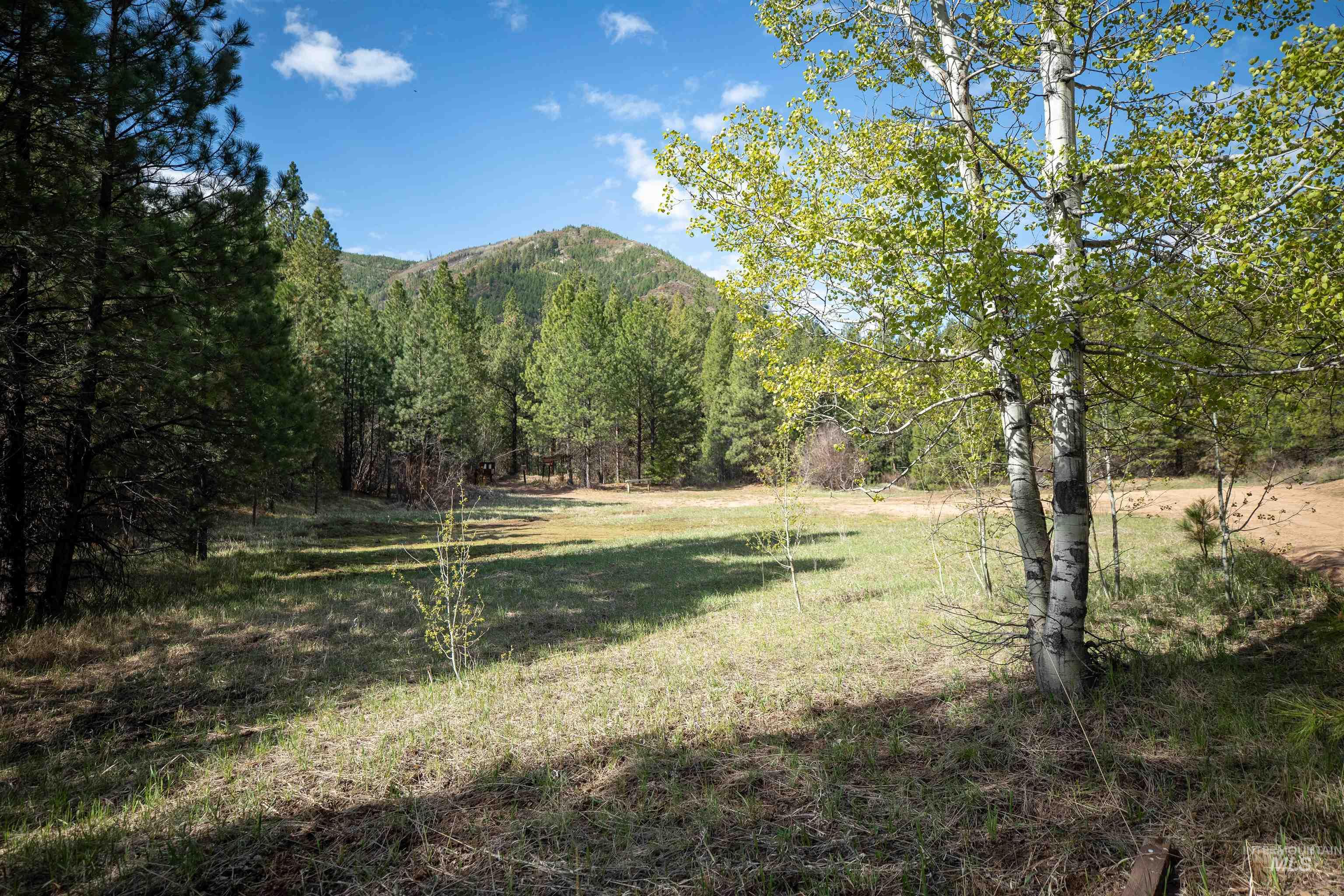 8 Birch Blossom Trl, Lowman, Idaho 83637, Land For Sale, Price $99,000,MLS 98985226