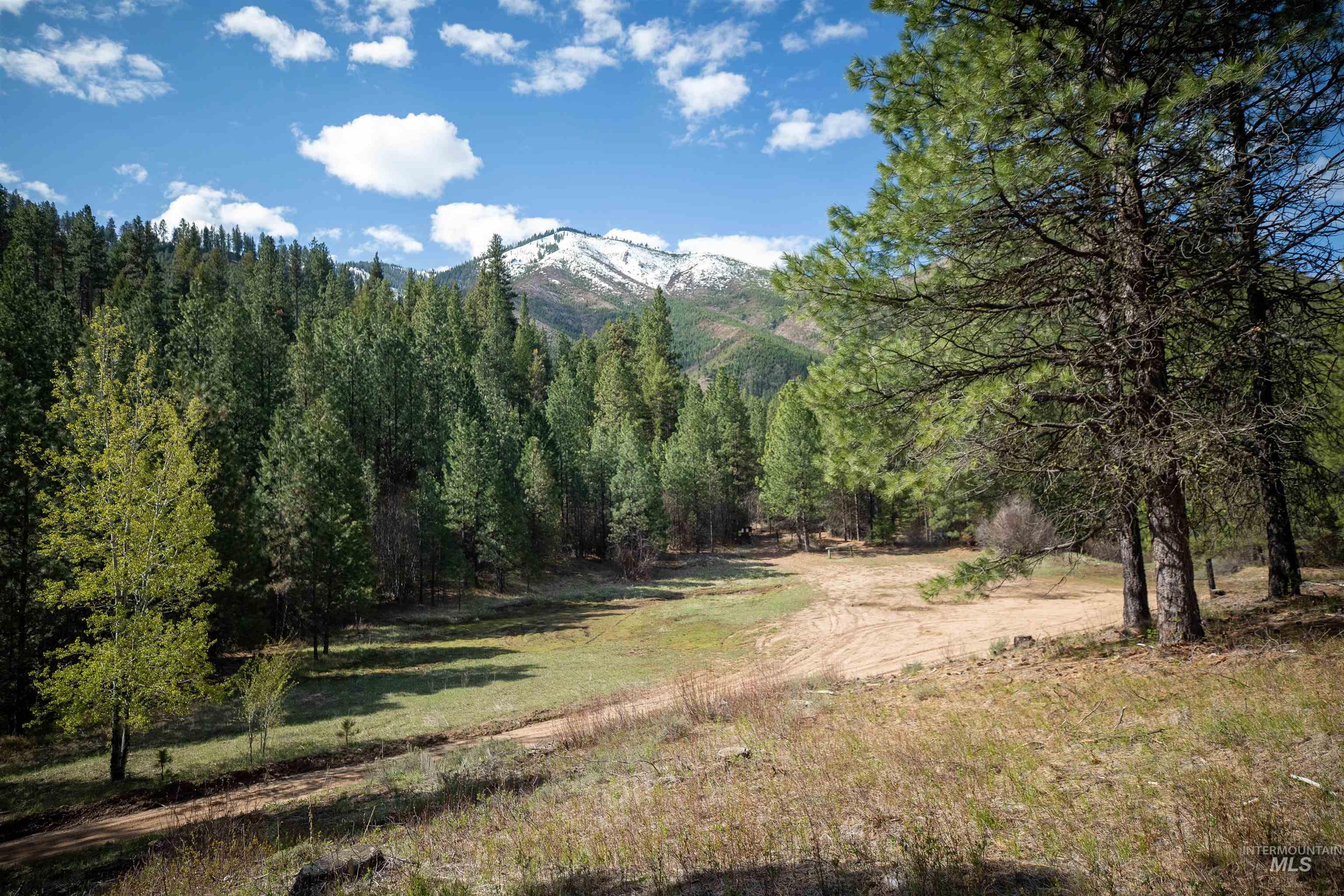 8 Birch Blossom Trl, Lowman, Idaho 83637, Land For Sale, Price $99,000,MLS 98985226