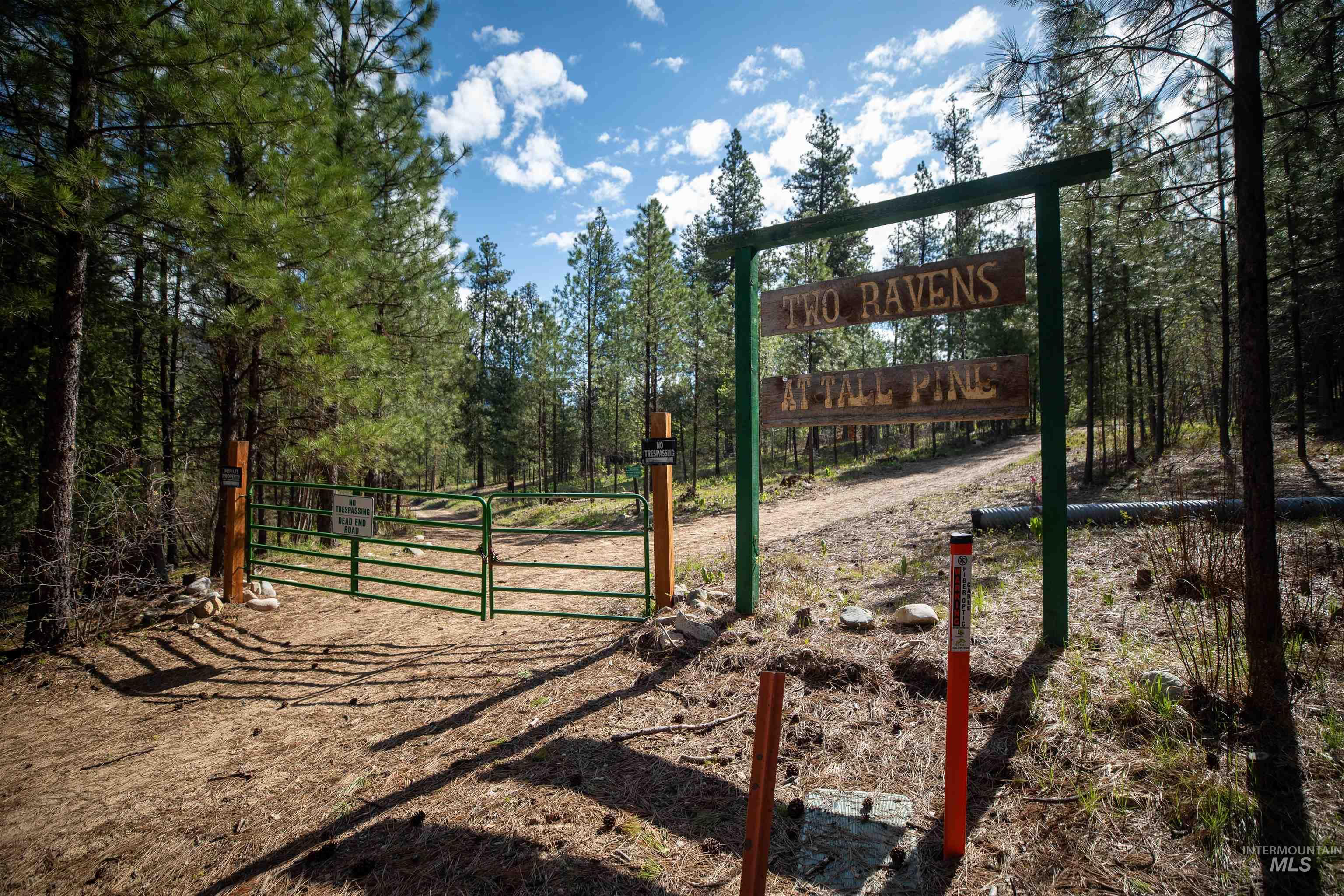 8 Birch Blossom Trl, Lowman, Idaho 83637, Land For Sale, Price $99,000,MLS 98985226