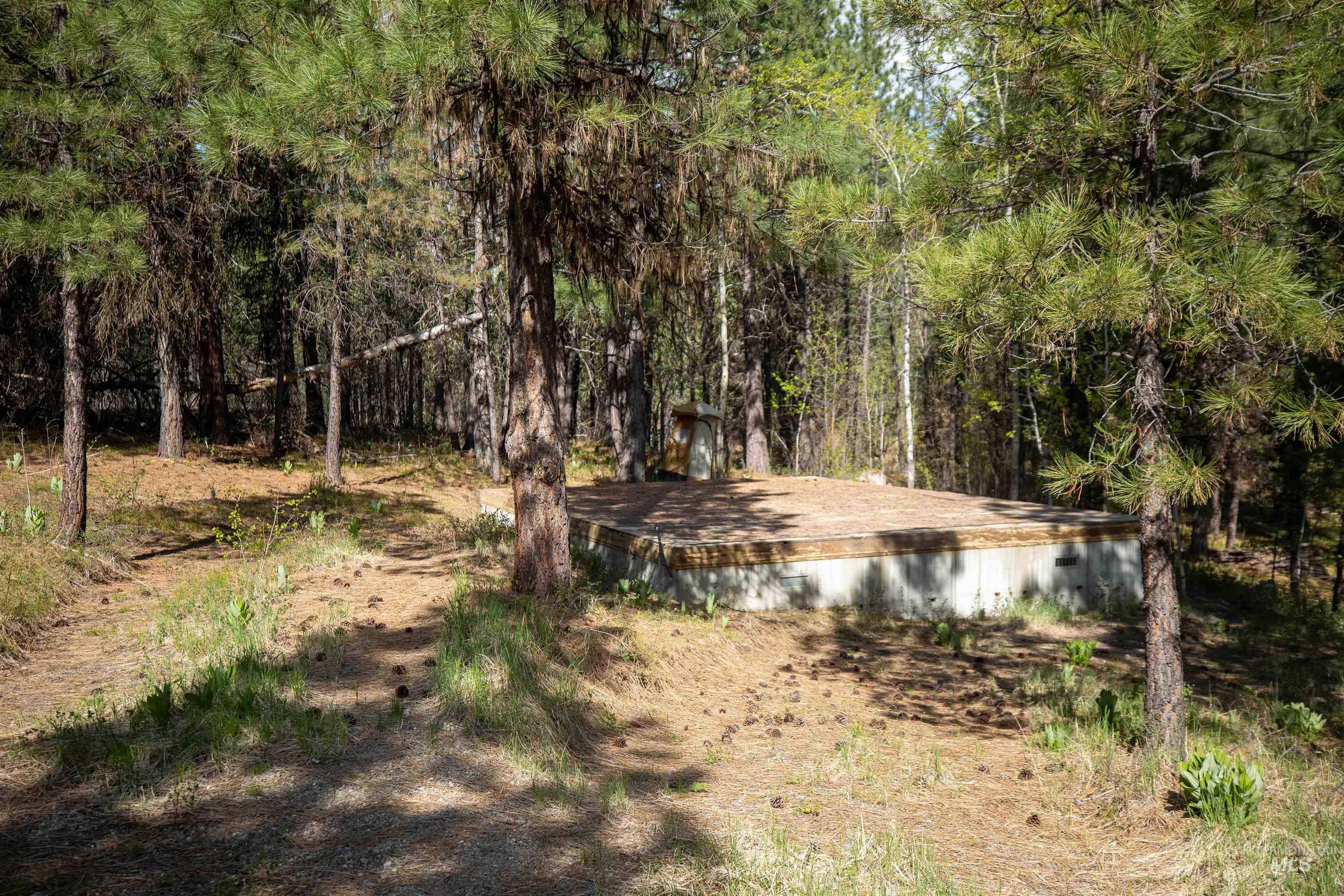 8 Birch Blossom Trl, Lowman, Idaho 83637, Land For Sale, Price $99,000,MLS 98985226