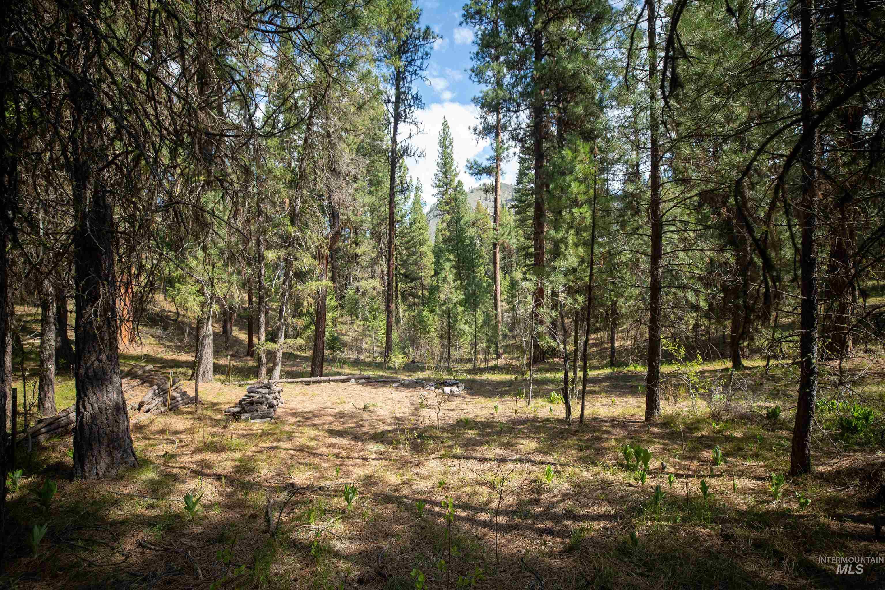 8 Birch Blossom Trl, Lowman, Idaho 83637, Land For Sale, Price $99,000,MLS 98985226