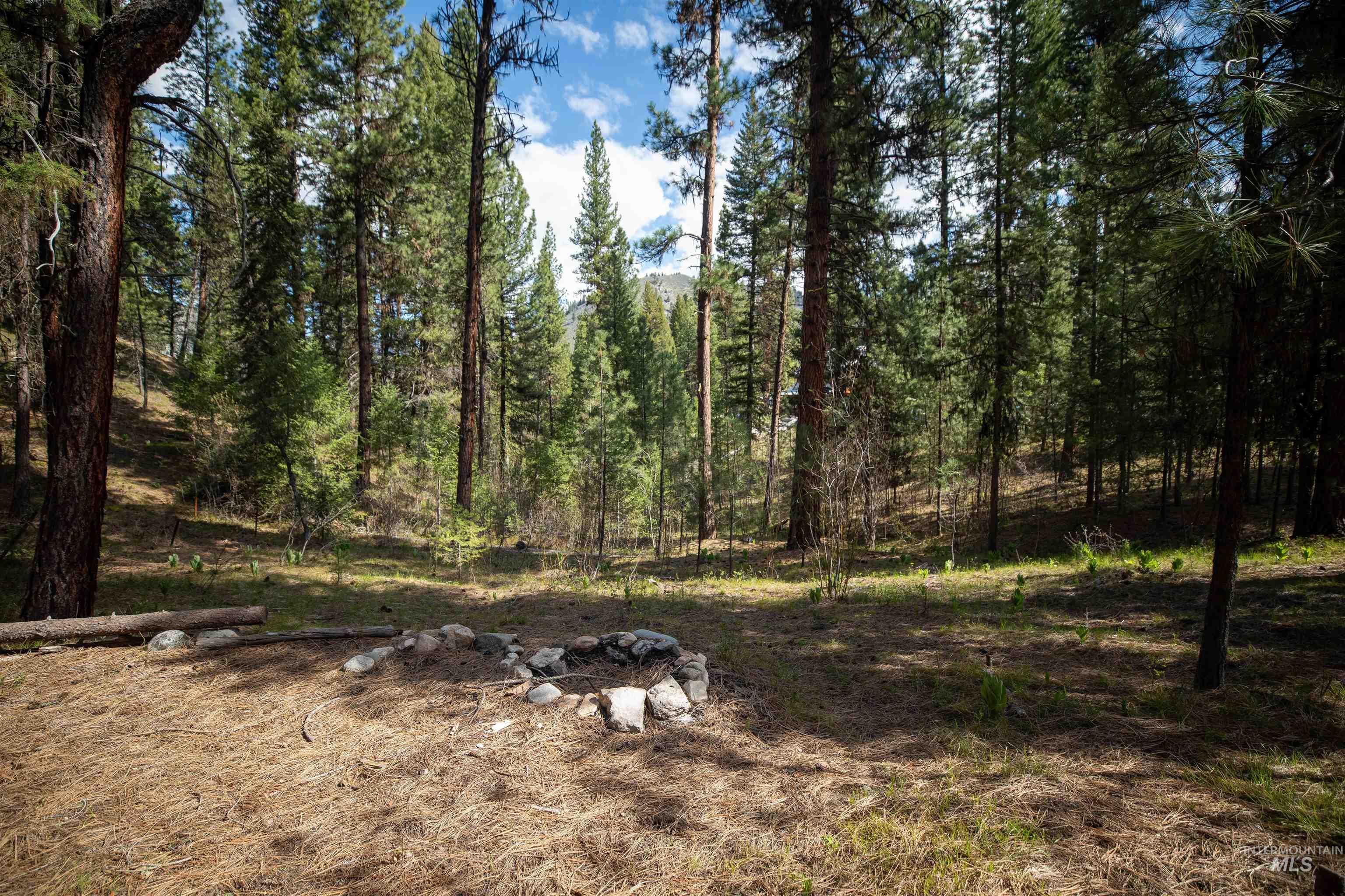8 Birch Blossom Trl, Lowman, Idaho 83637, Land For Sale, Price $99,000,MLS 98985226