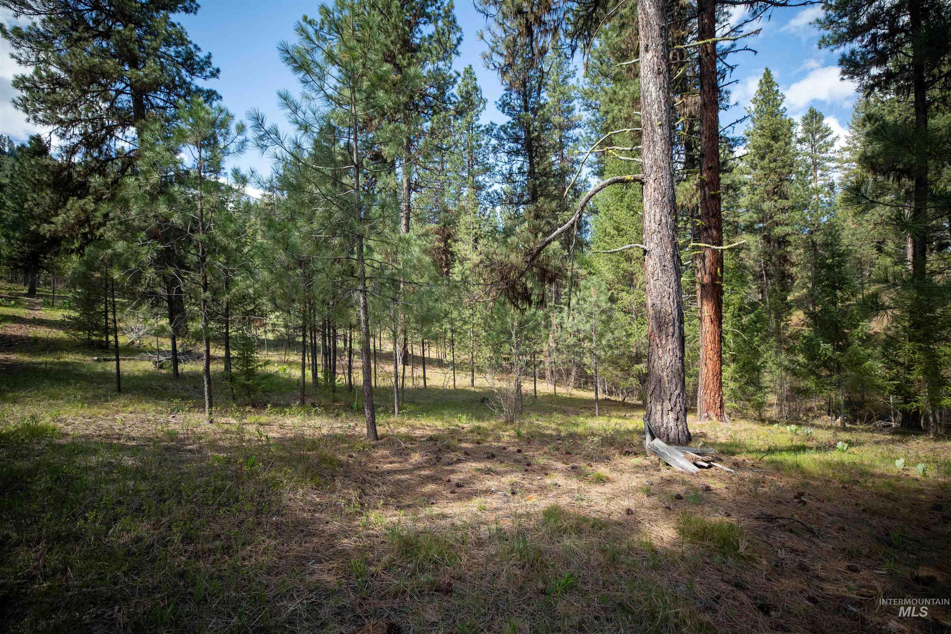 8 Birch Blossom Trl, Lowman, Idaho 83637, Land For Sale, Price $99,000,MLS 98985226