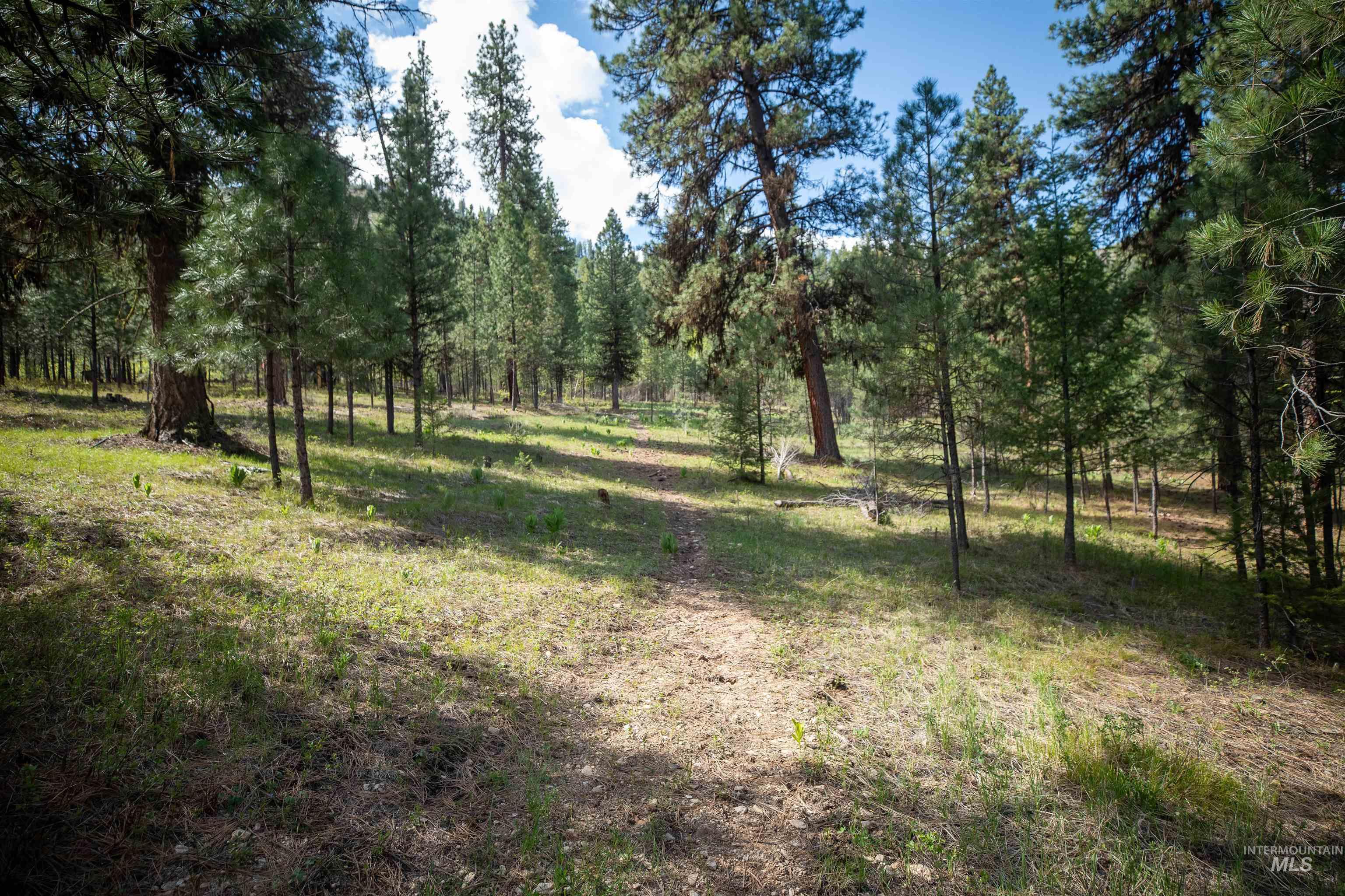 8 Birch Blossom Trl, Lowman, Idaho 83637, Land For Sale, Price $99,000,MLS 98985226