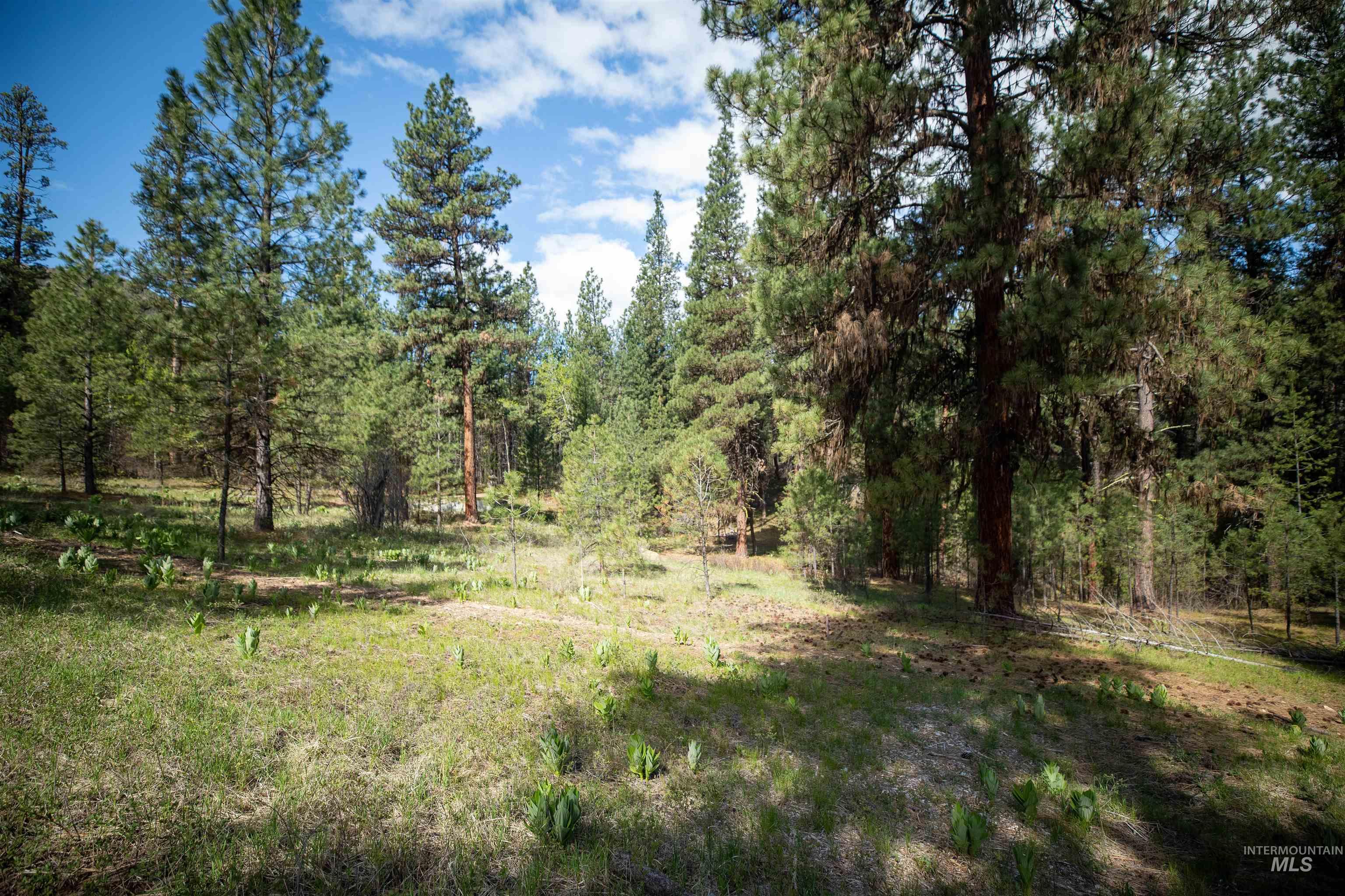8 Birch Blossom Trl, Lowman, Idaho 83637, Land For Sale, Price $99,000,MLS 98985226