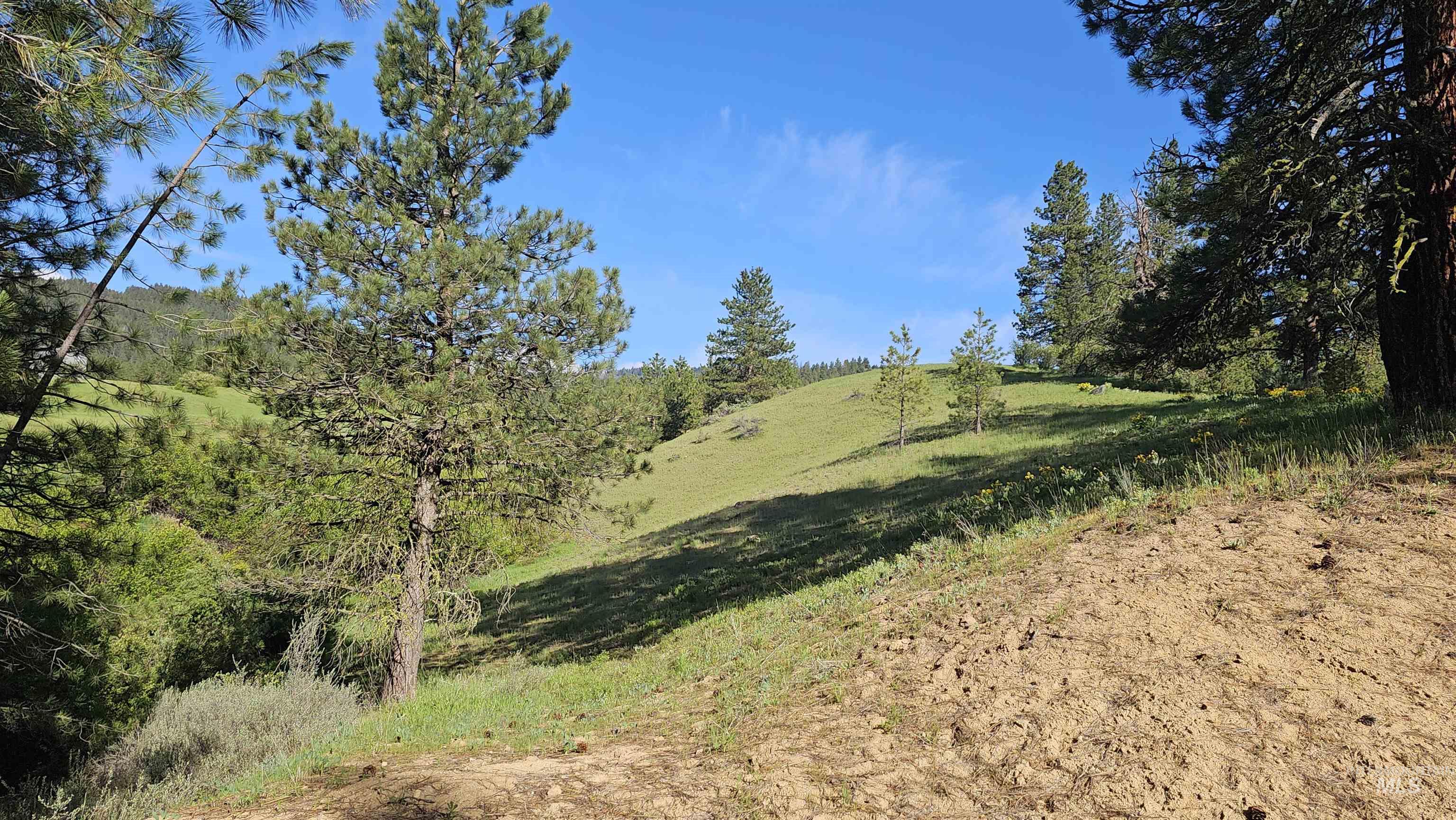 Lot 85 Alpine Ct., Boise, Idaho 83716, Land For Sale, Price $249,900,MLS 98985229