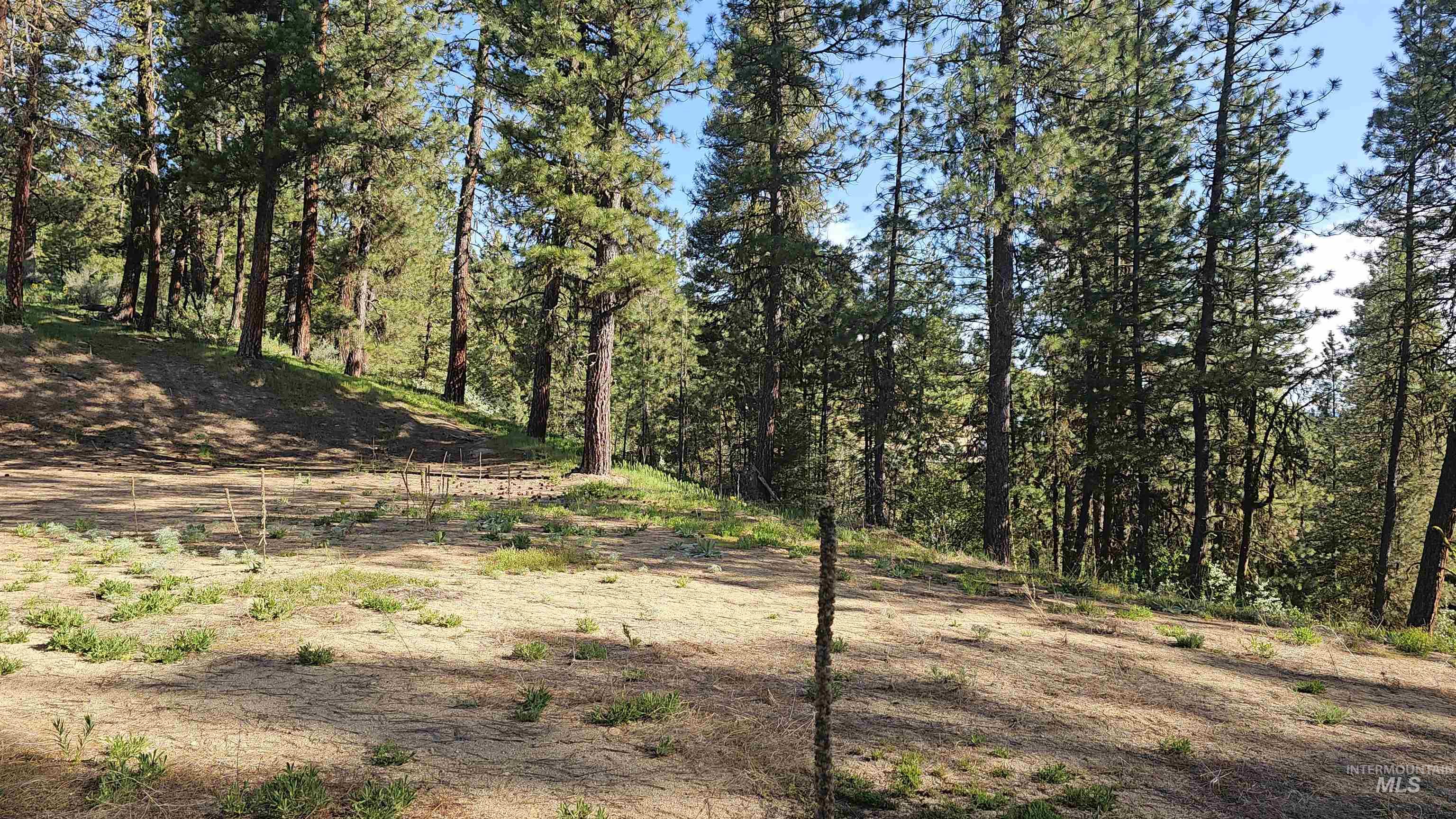 Lot 85 Alpine Ct., Boise, Idaho 83716, Land For Sale, Price $249,900,MLS 98985229