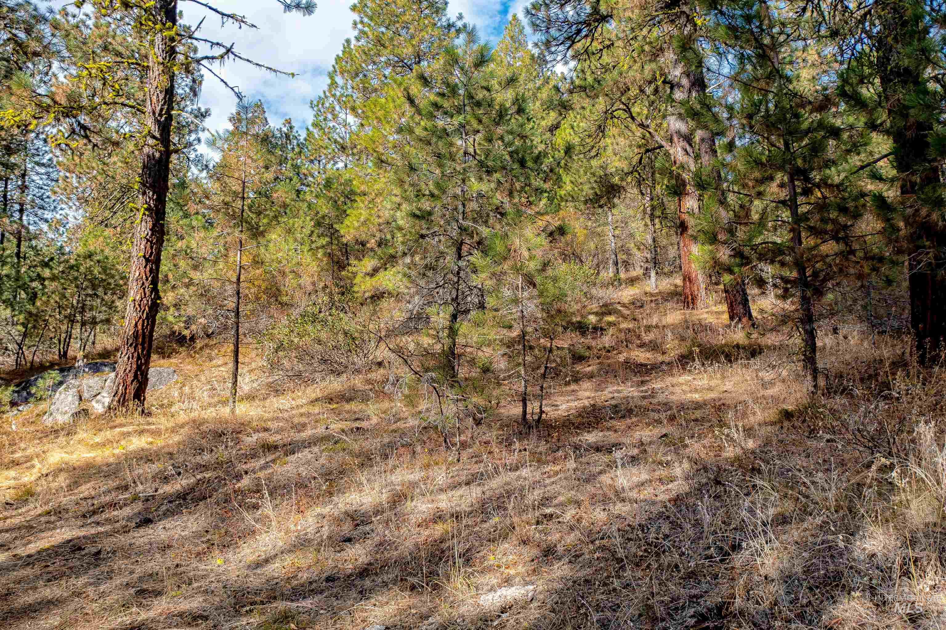 TBD White Mesa, Banks, Idaho 83602, Land For Sale, Price $110,000,MLS 98985256