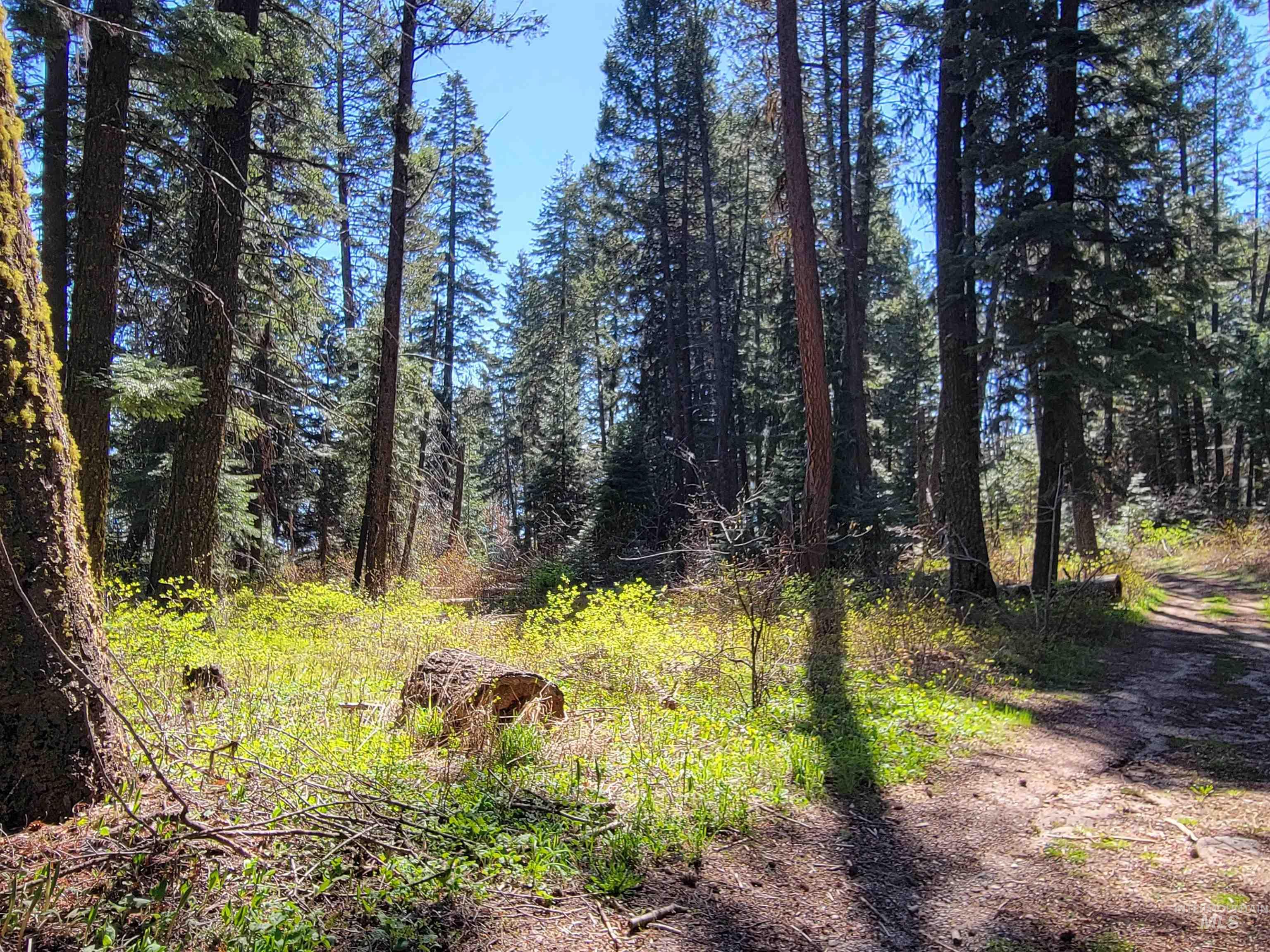 22 Melody Lane, Cascade, Idaho 83611, Land For Sale, Price $109,900,MLS 98985279