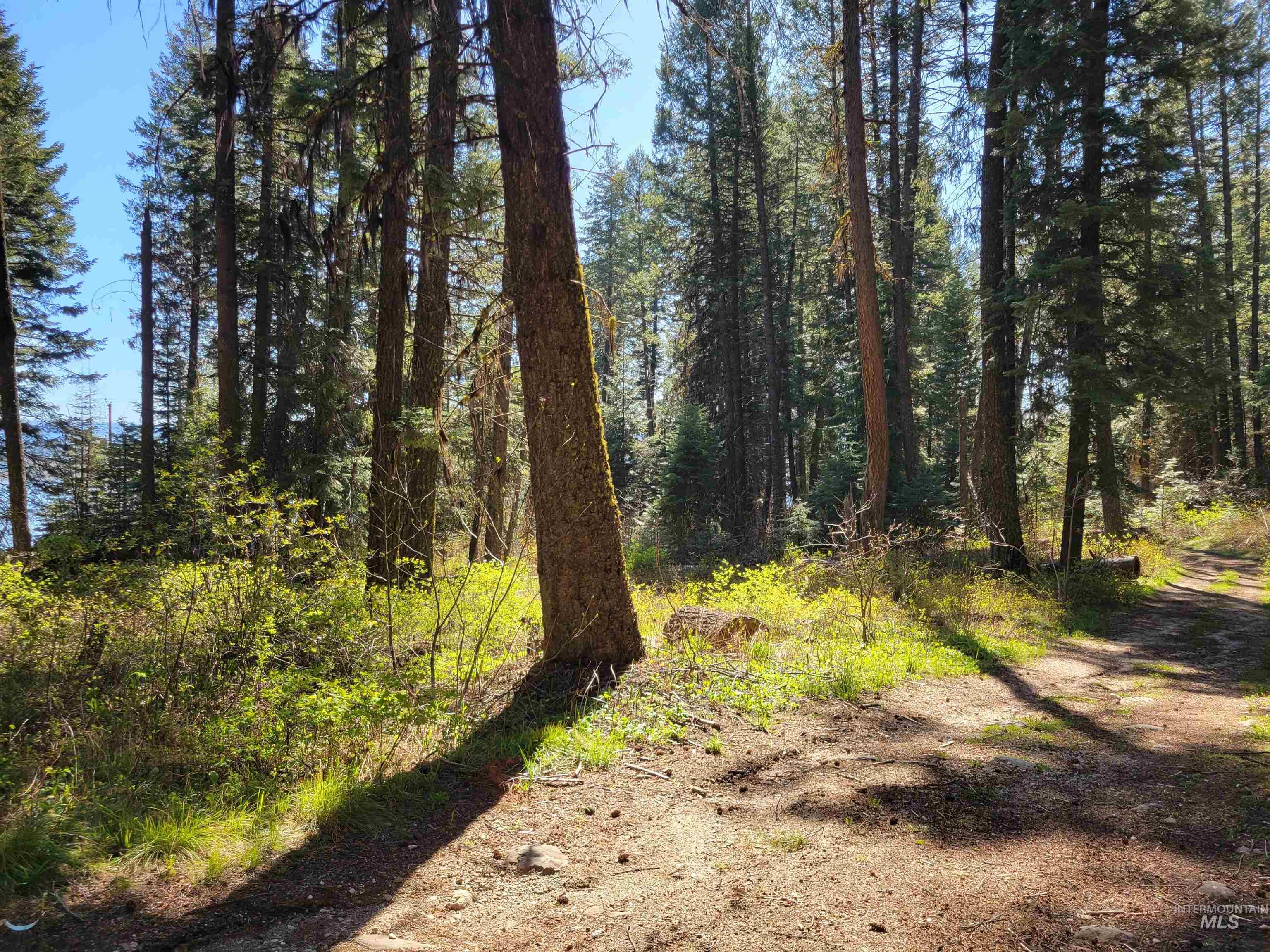 22 Melody Lane, Cascade, Idaho 83611, Land For Sale, Price $109,900,MLS 98985279