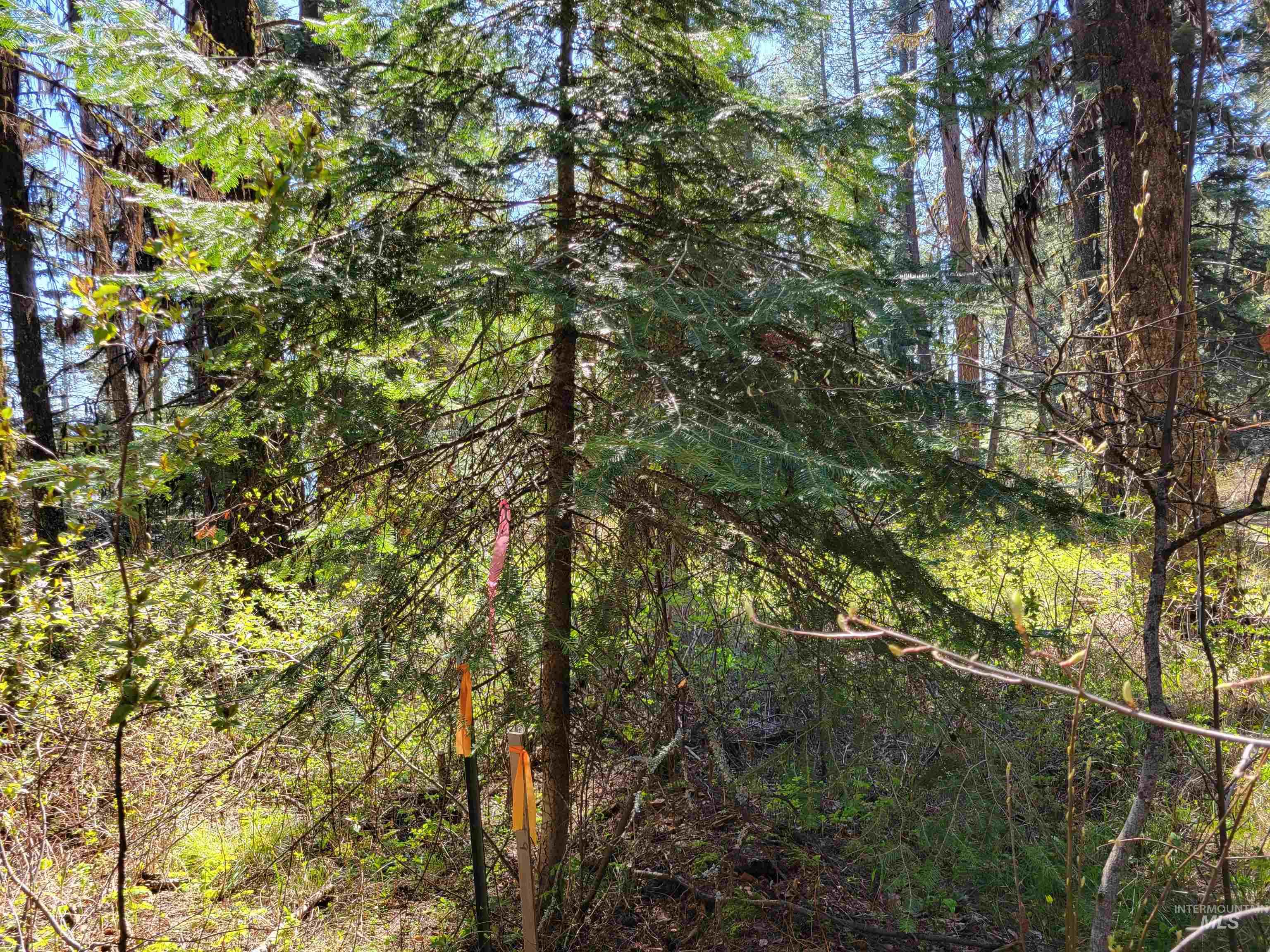 22 Melody Lane, Cascade, Idaho 83611, Land For Sale, Price $109,900,MLS 98985279
