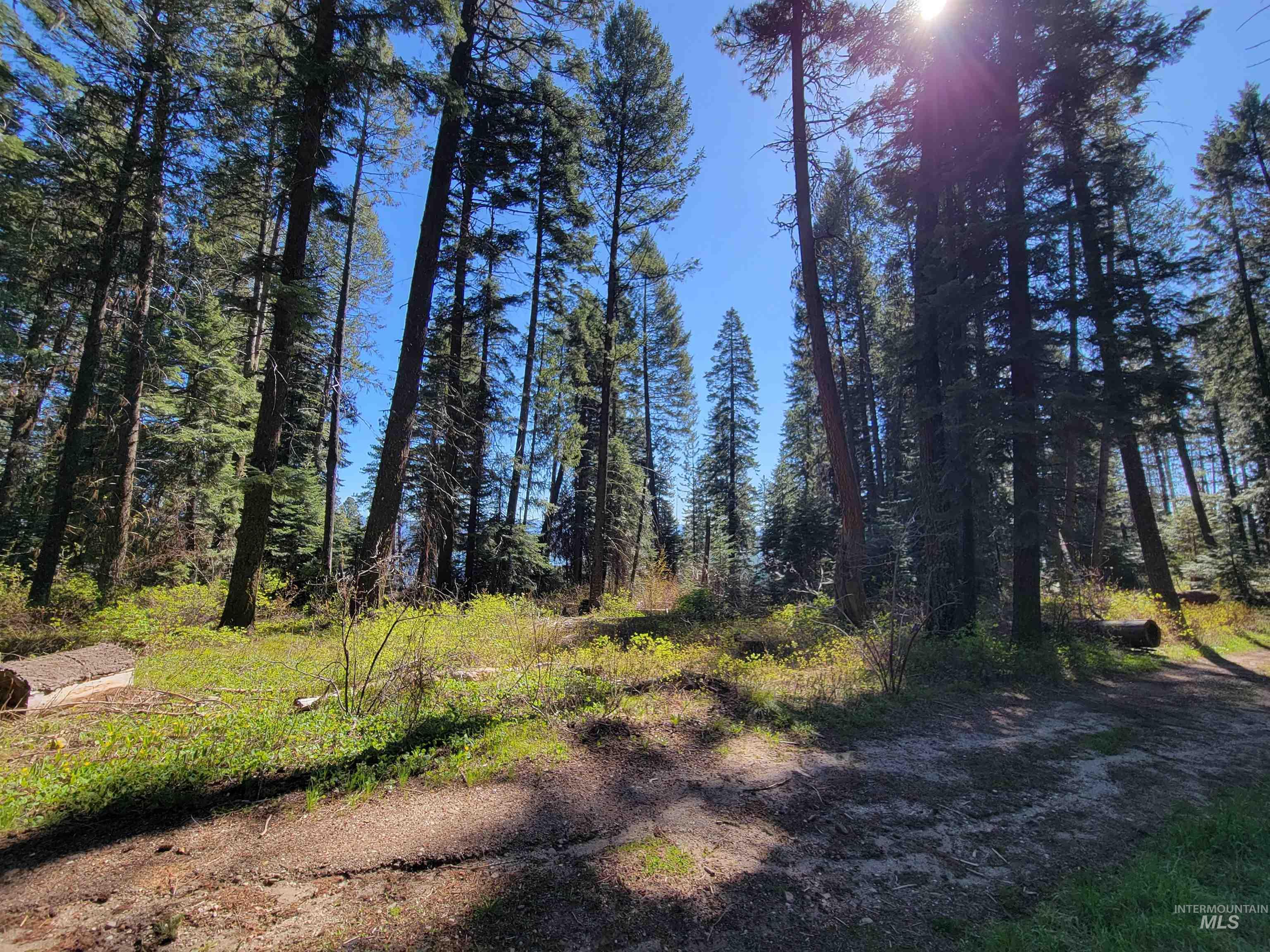 22 Melody Lane, Cascade, Idaho 83611, Land For Sale, Price $109,900,MLS 98985279
