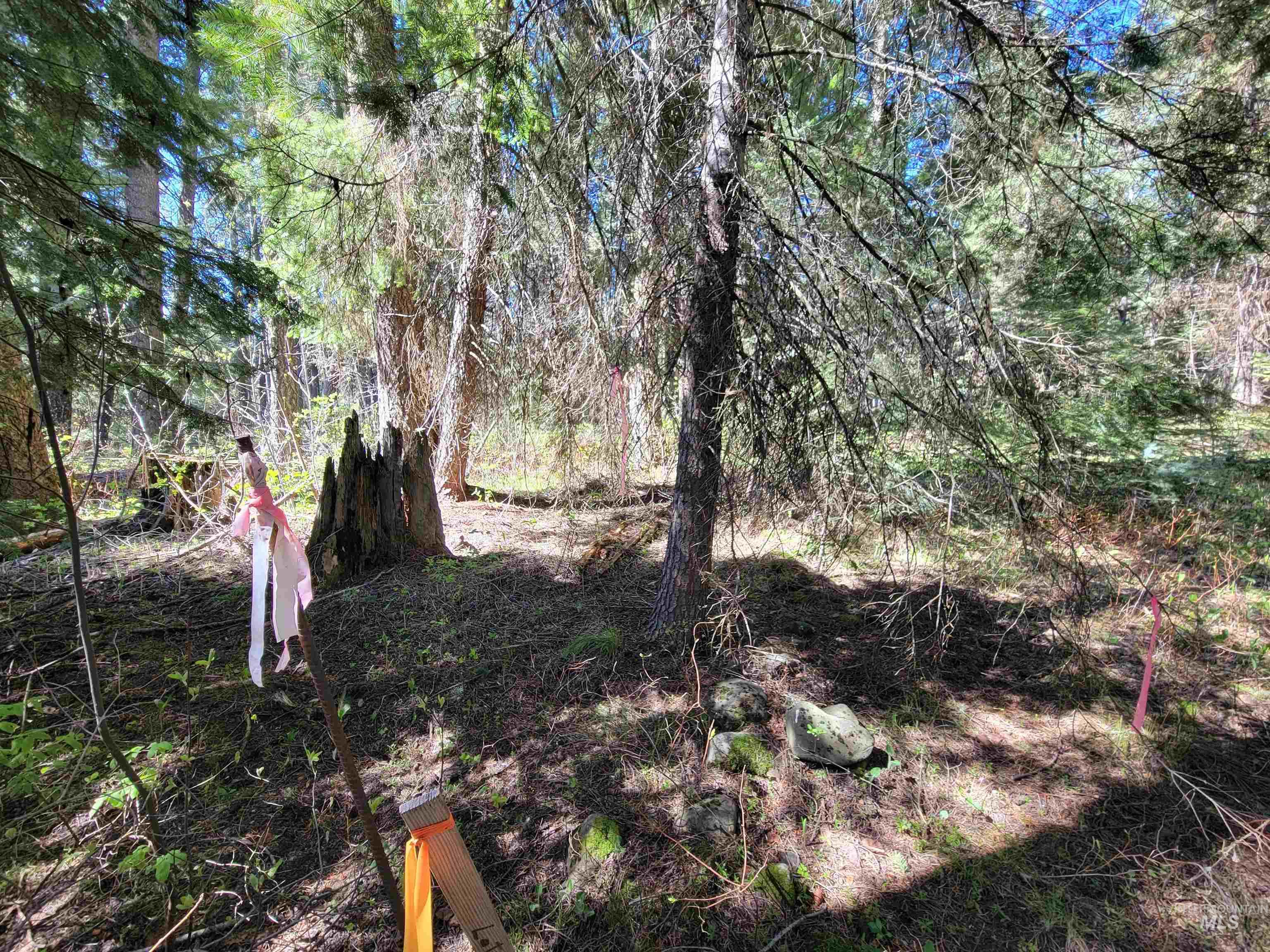 22 Melody Lane, Cascade, Idaho 83611, Land For Sale, Price $109,900,MLS 98985279
