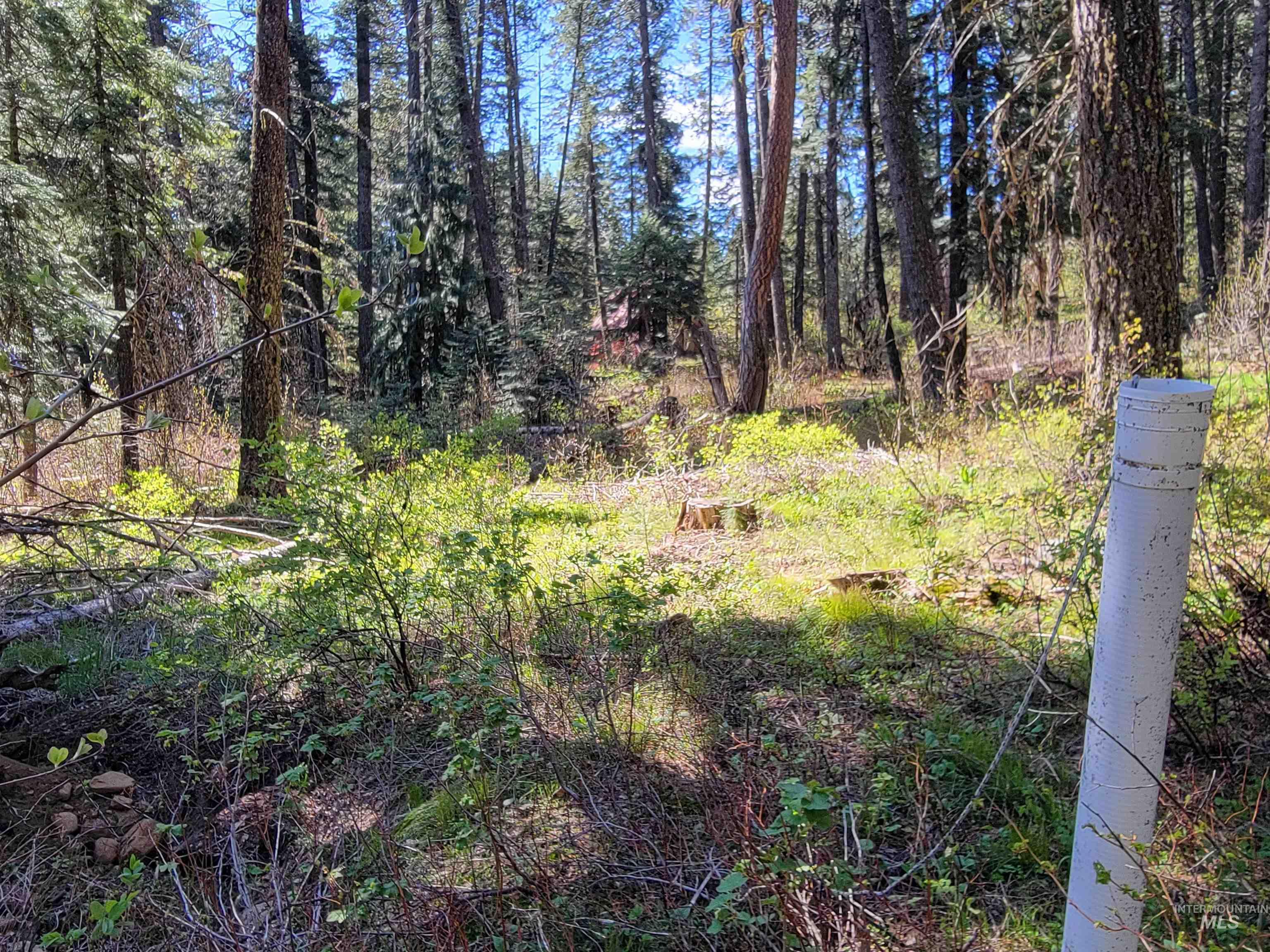 22 Melody Lane, Cascade, Idaho 83611, Land For Sale, Price $109,900,MLS 98985279
