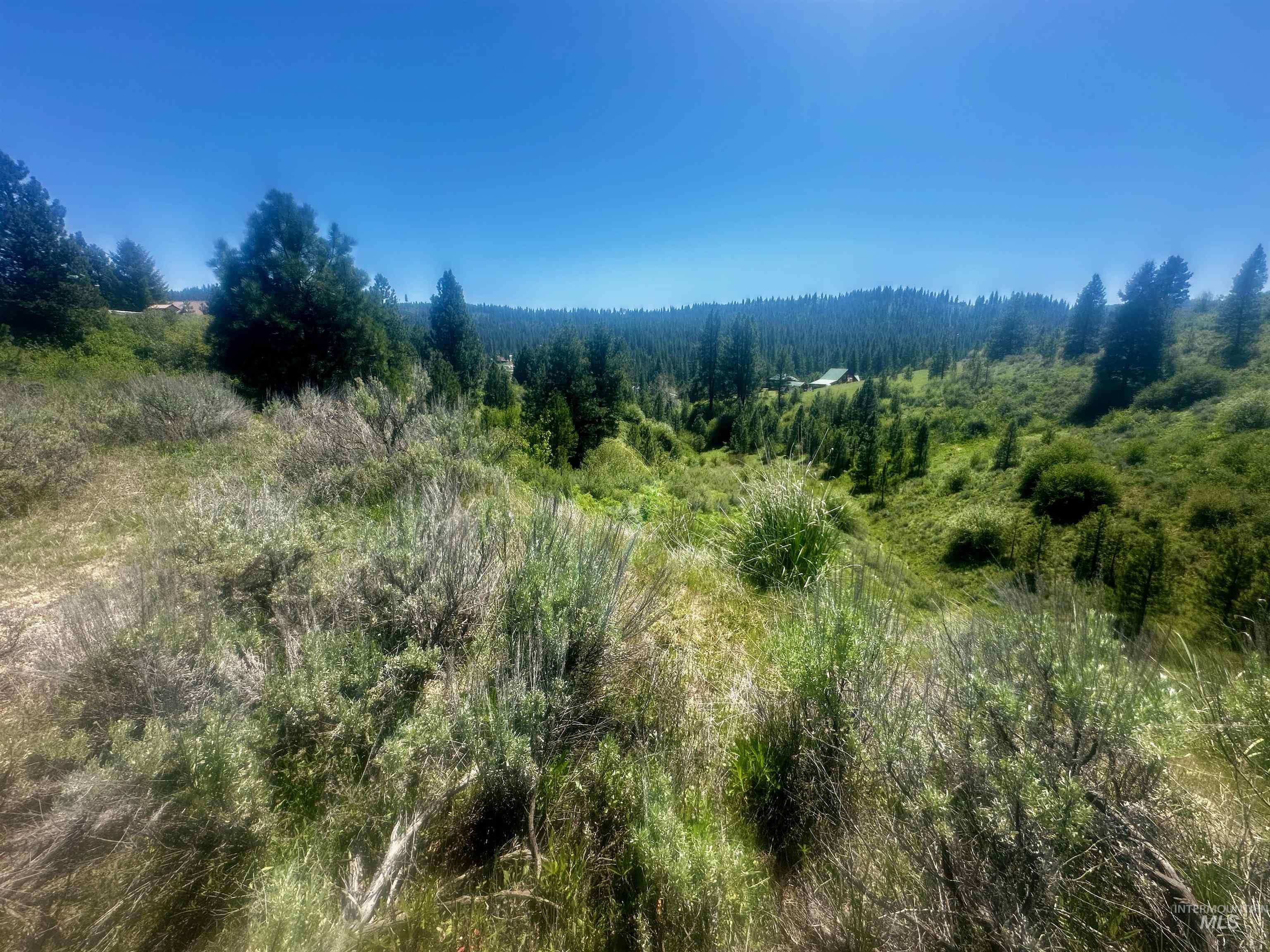 TBD Gold Fork Ridge Rd-5.64 acres, Boise, Idaho 83716, Land For Sale, Price $239,000, 98985319