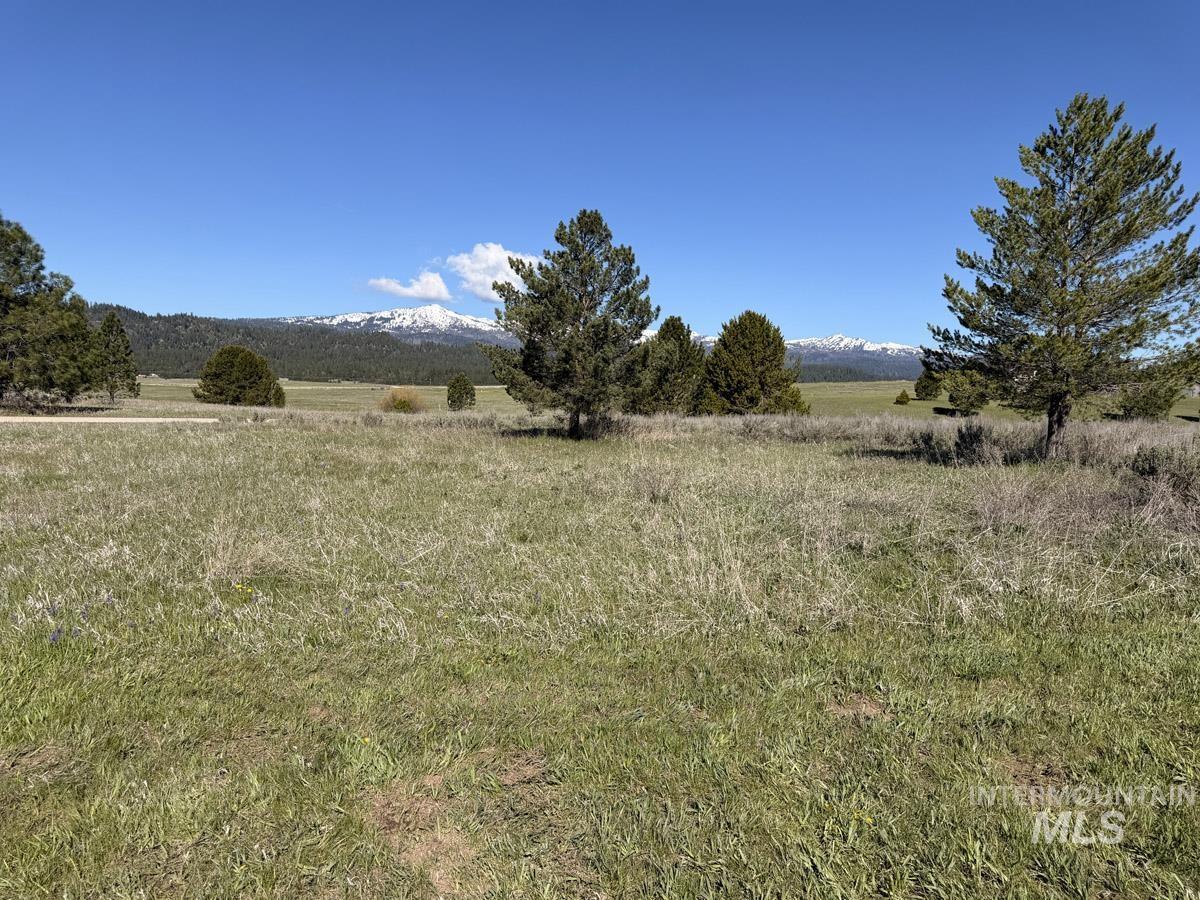 10307 Emma Loop, Cascade, Idaho 83611, 2 Bedrooms, 3 Bathrooms, Residential For Sale, Price $830,000,MLS 98985325