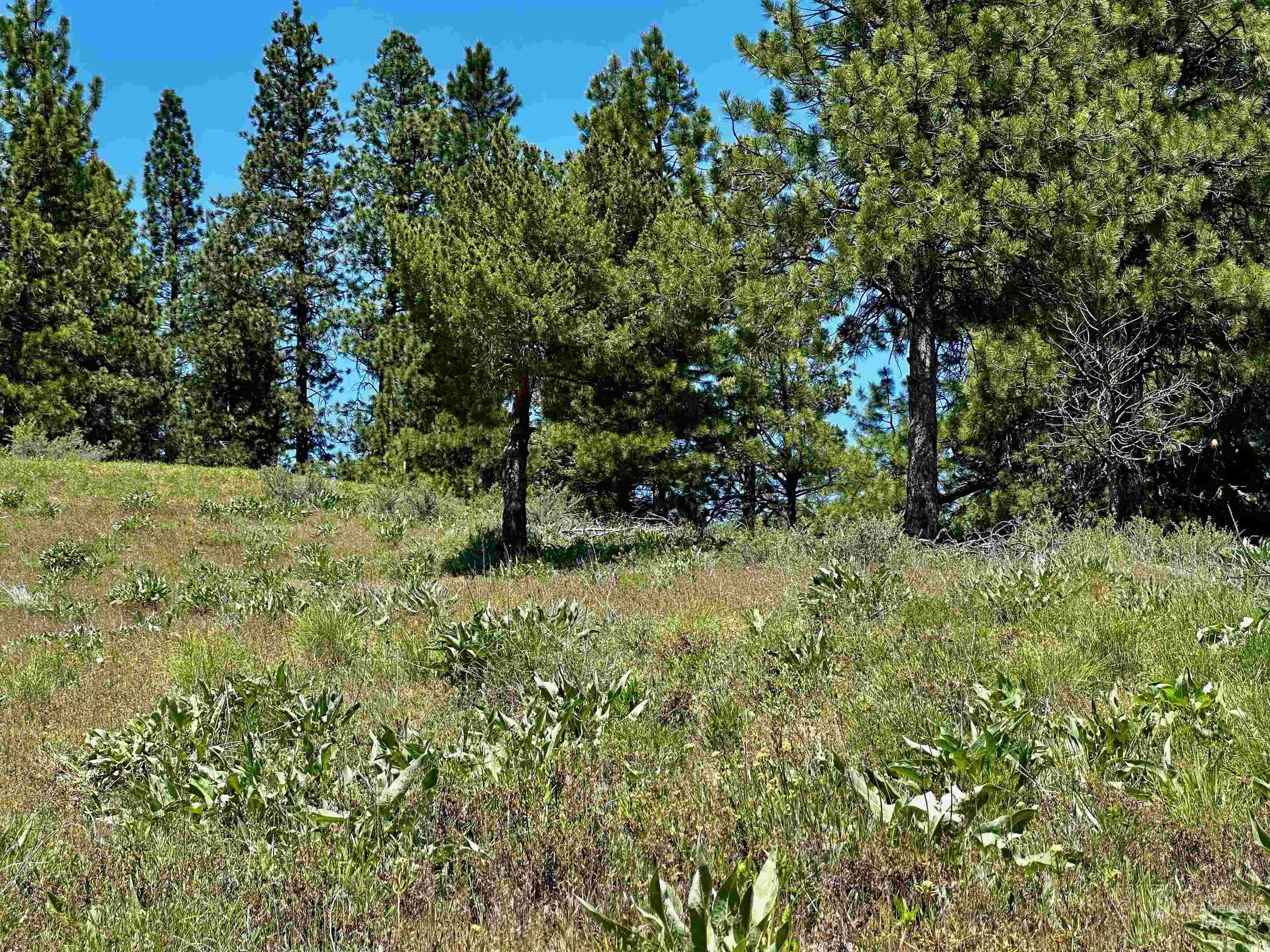 TBD Aspen Ridge Rd, Boise, Idaho 83716, Land For Sale, Price $75,000, 98985327