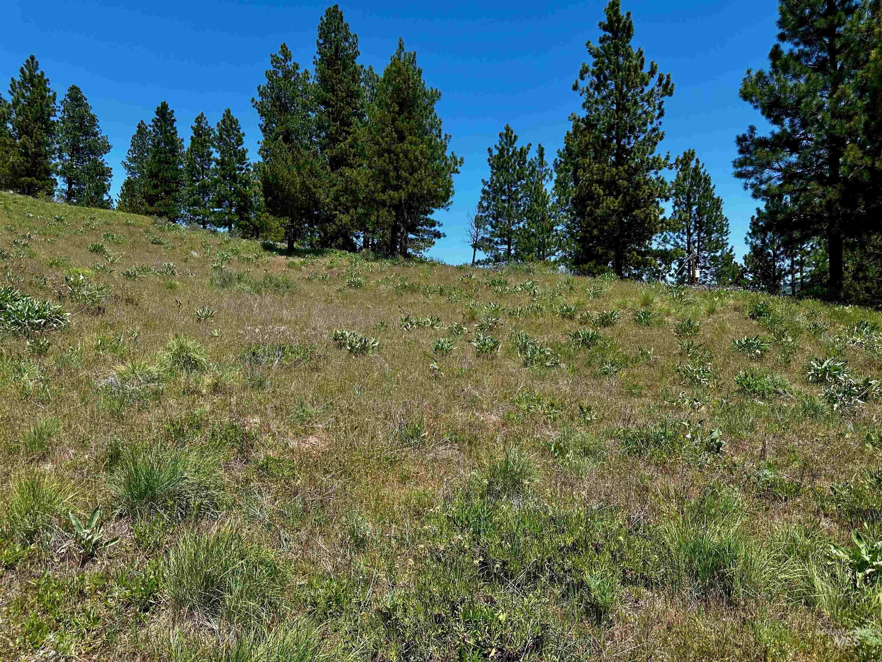 TBD Aspen Ridge Rd, Boise, Idaho 83716, Land For Sale, Price $75,000, 98985327