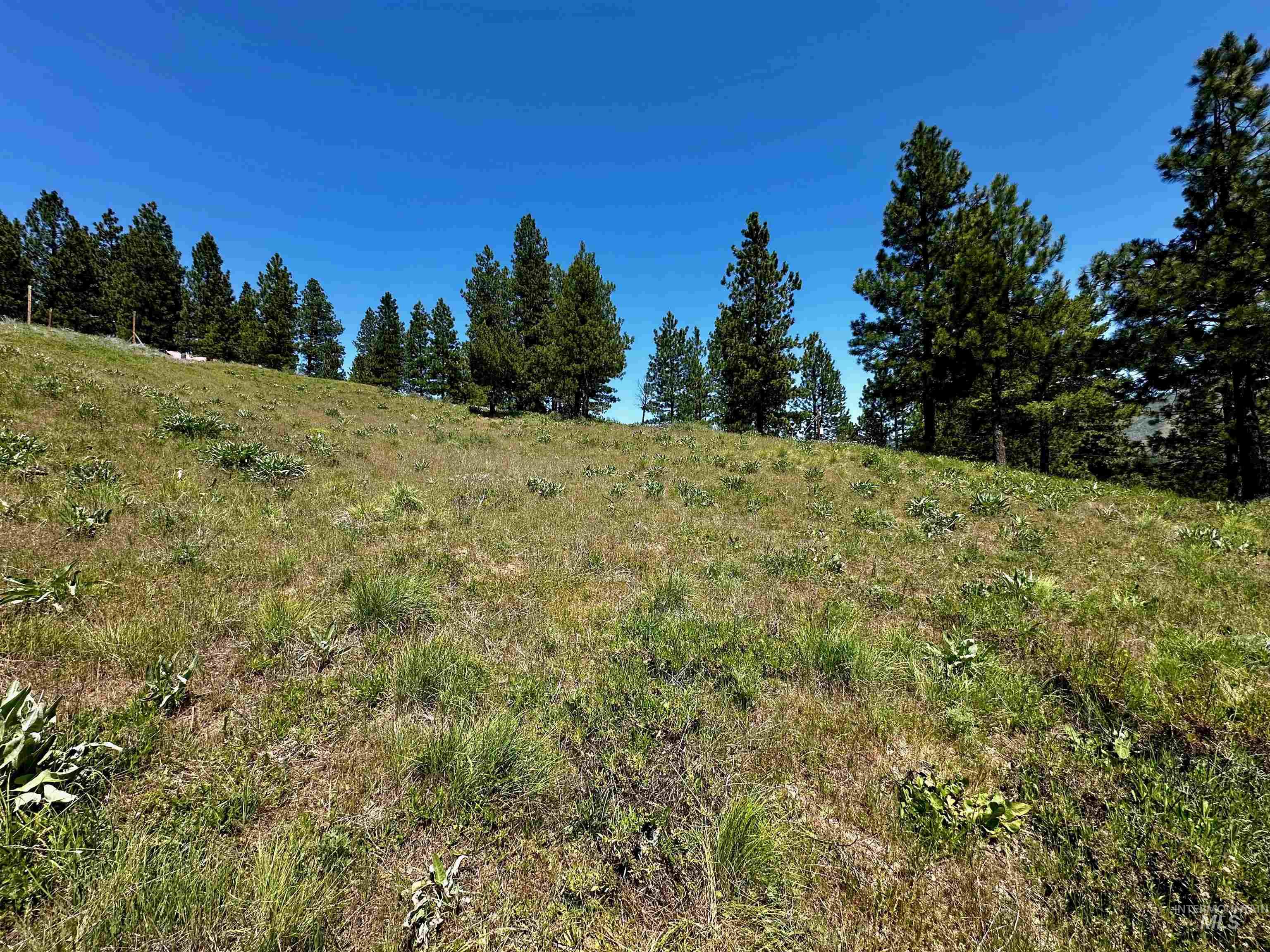 TBD Aspen Ridge Rd, Boise, Idaho 83716, Land For Sale, Price $75,000, 98985327