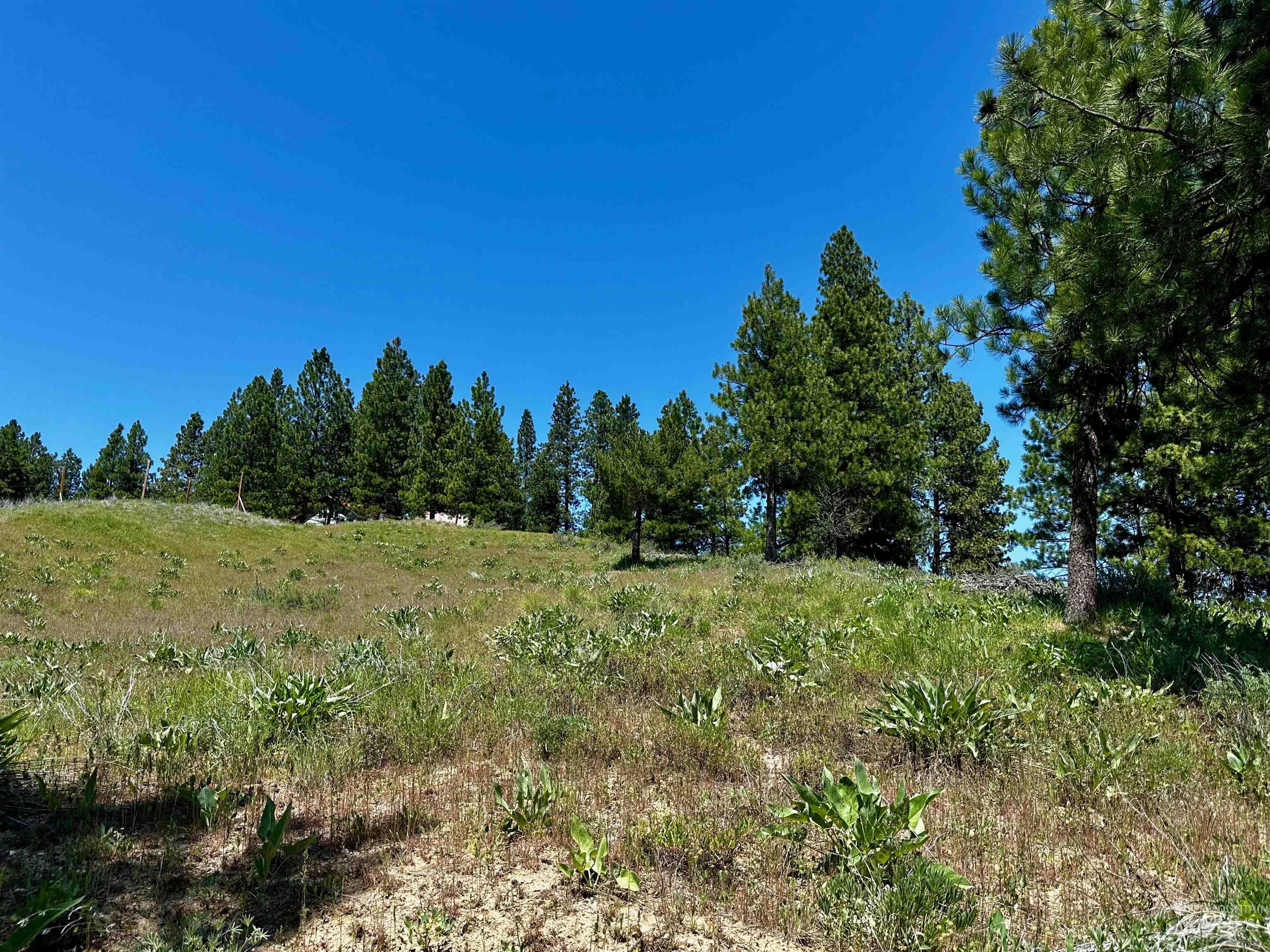 TBD Aspen Ridge Rd, Boise, Idaho 83716, Land For Sale, Price $75,000, 98985327