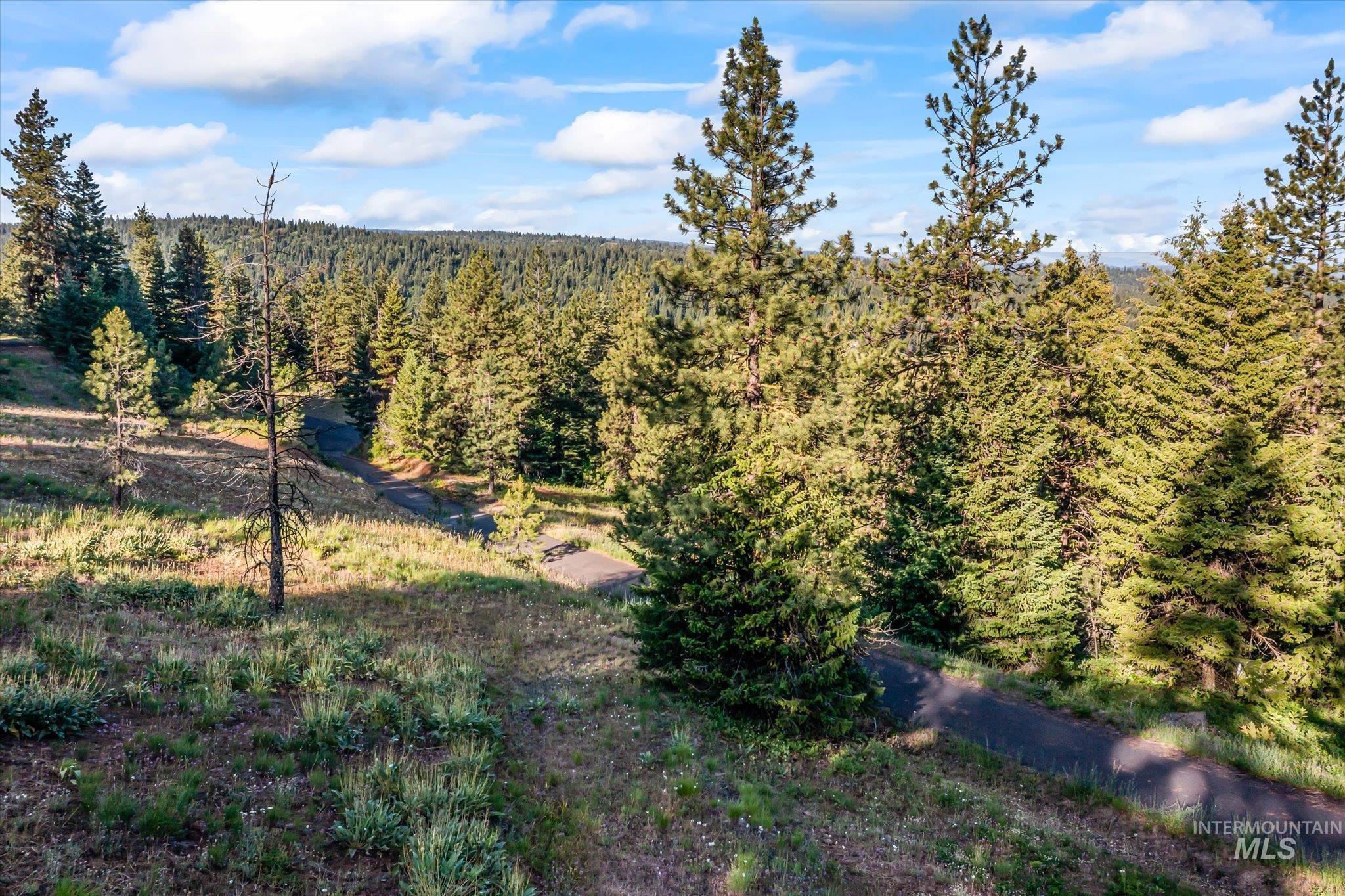 Lot 15 Harrington Pl, McCall, Idaho 83638, Land For Sale, Price $235,000, 98985413