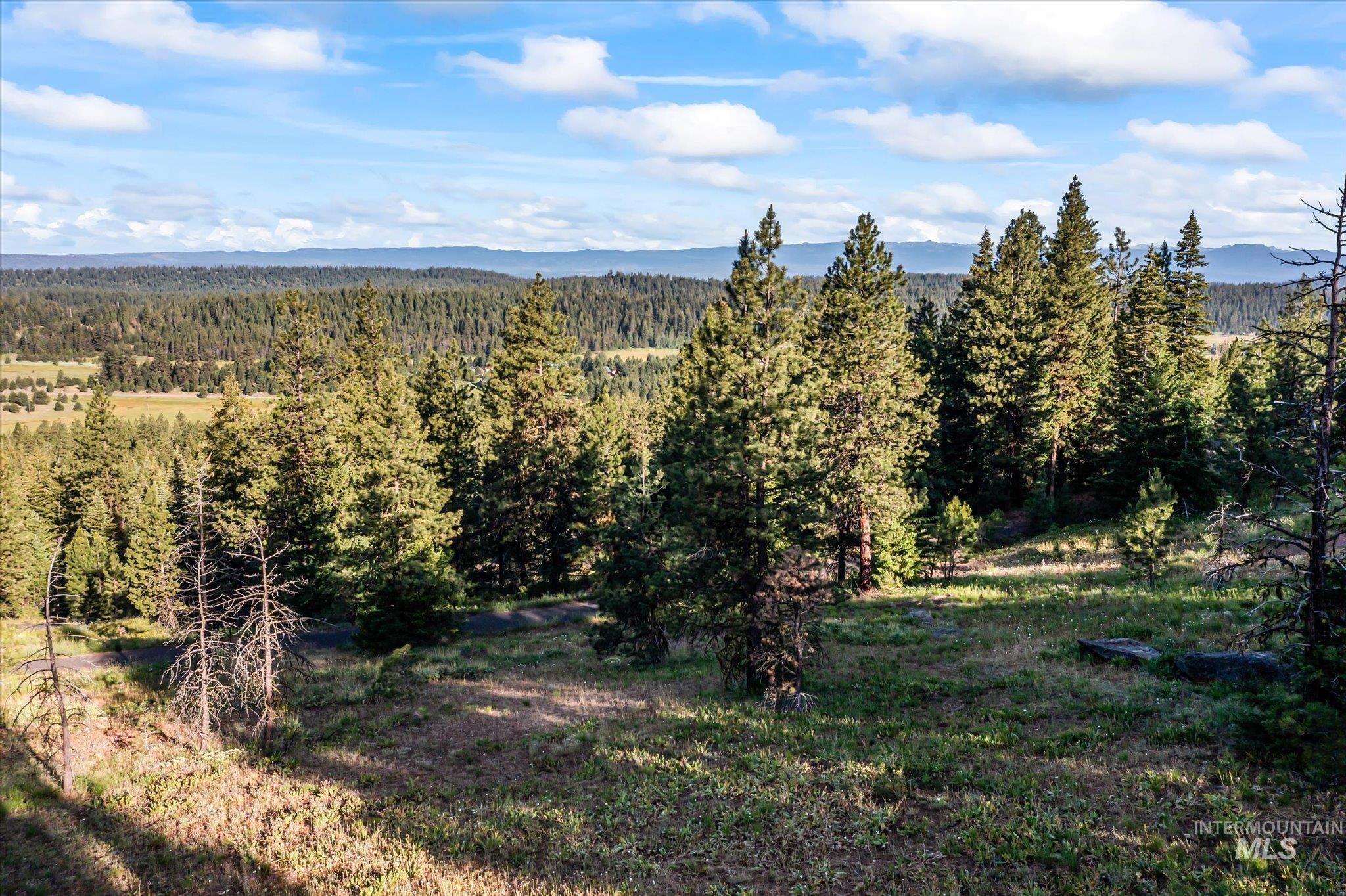 Lot 15 Harrington Pl, McCall, Idaho 83638, Land For Sale, Price $269,900,MLS 98985413