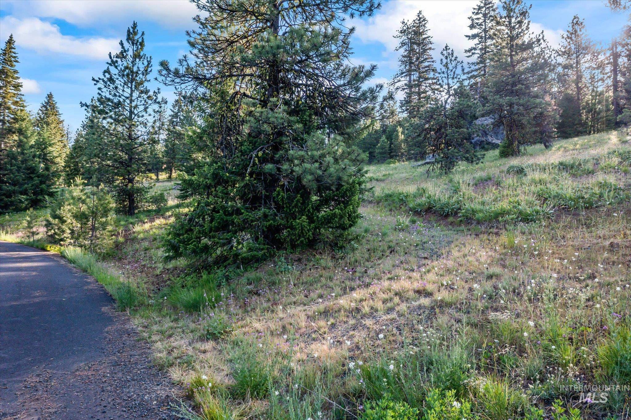 Lot 15 Harrington Pl, McCall, Idaho 83638, Land For Sale, Price $235,000, 98985413