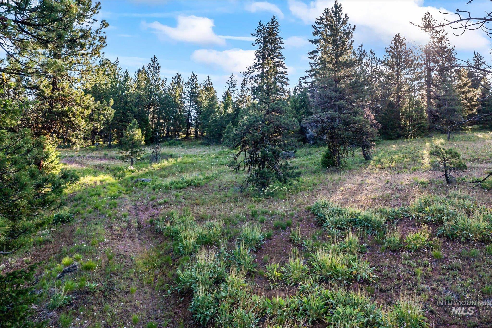 Lot 15 Harrington Pl, McCall, Idaho 83638, Land For Sale, Price $235,000, 98985413