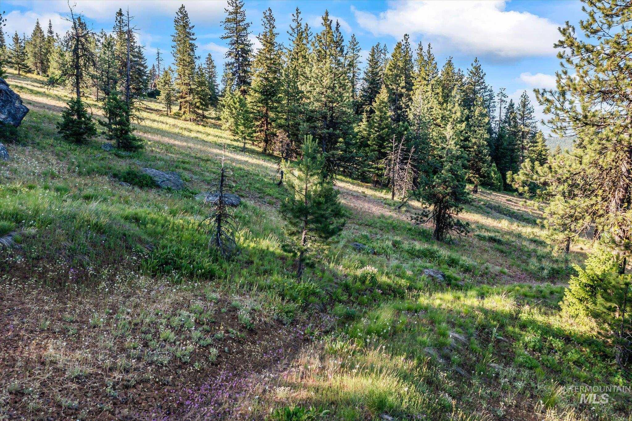Lot 15 Harrington Pl, McCall, Idaho 83638, Land For Sale, Price $269,900,MLS 98985413