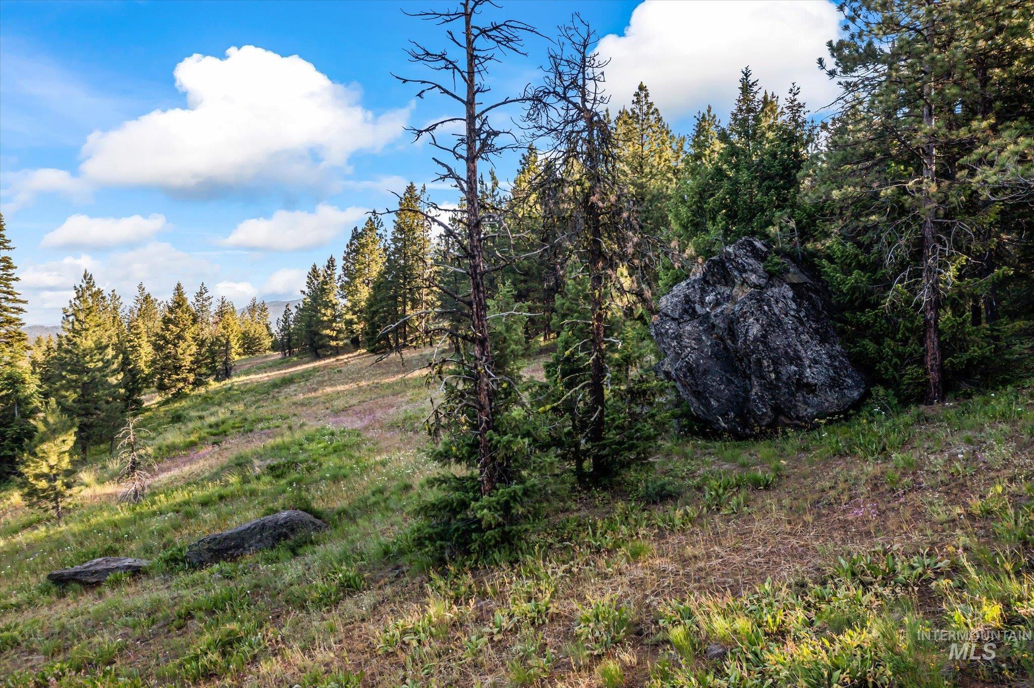 Lot 15 Harrington Pl, McCall, Idaho 83638, Land For Sale, Price $235,000, 98985413