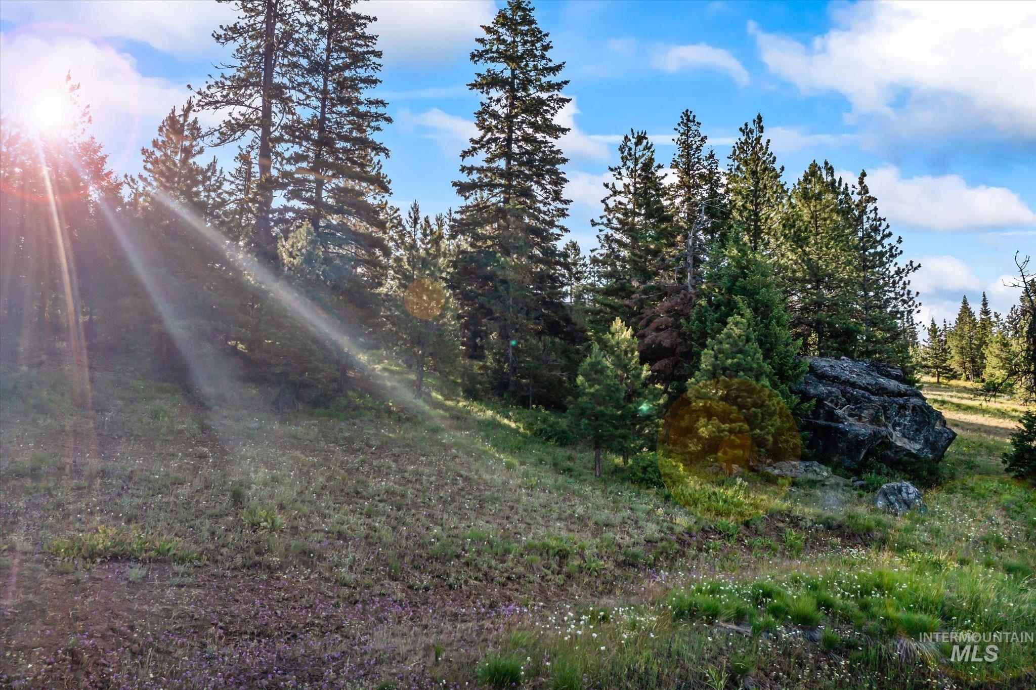 Lot 15 Harrington Pl, McCall, Idaho 83638, Land For Sale, Price $235,000, 98985413