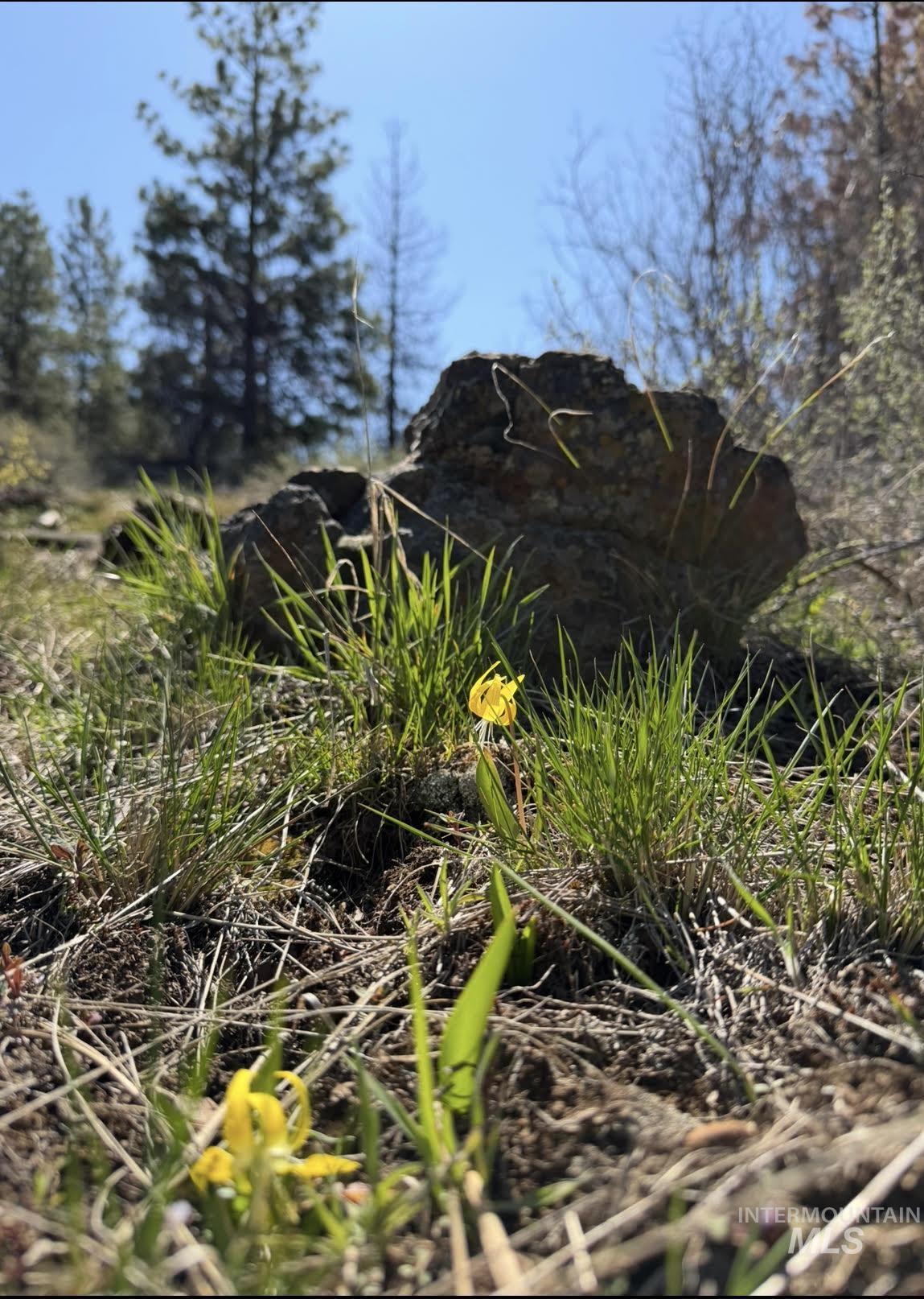 Lot 20 Crow Court, Boise, Idaho 83716, Land For Sale, Price $230,000,MLS 98985448