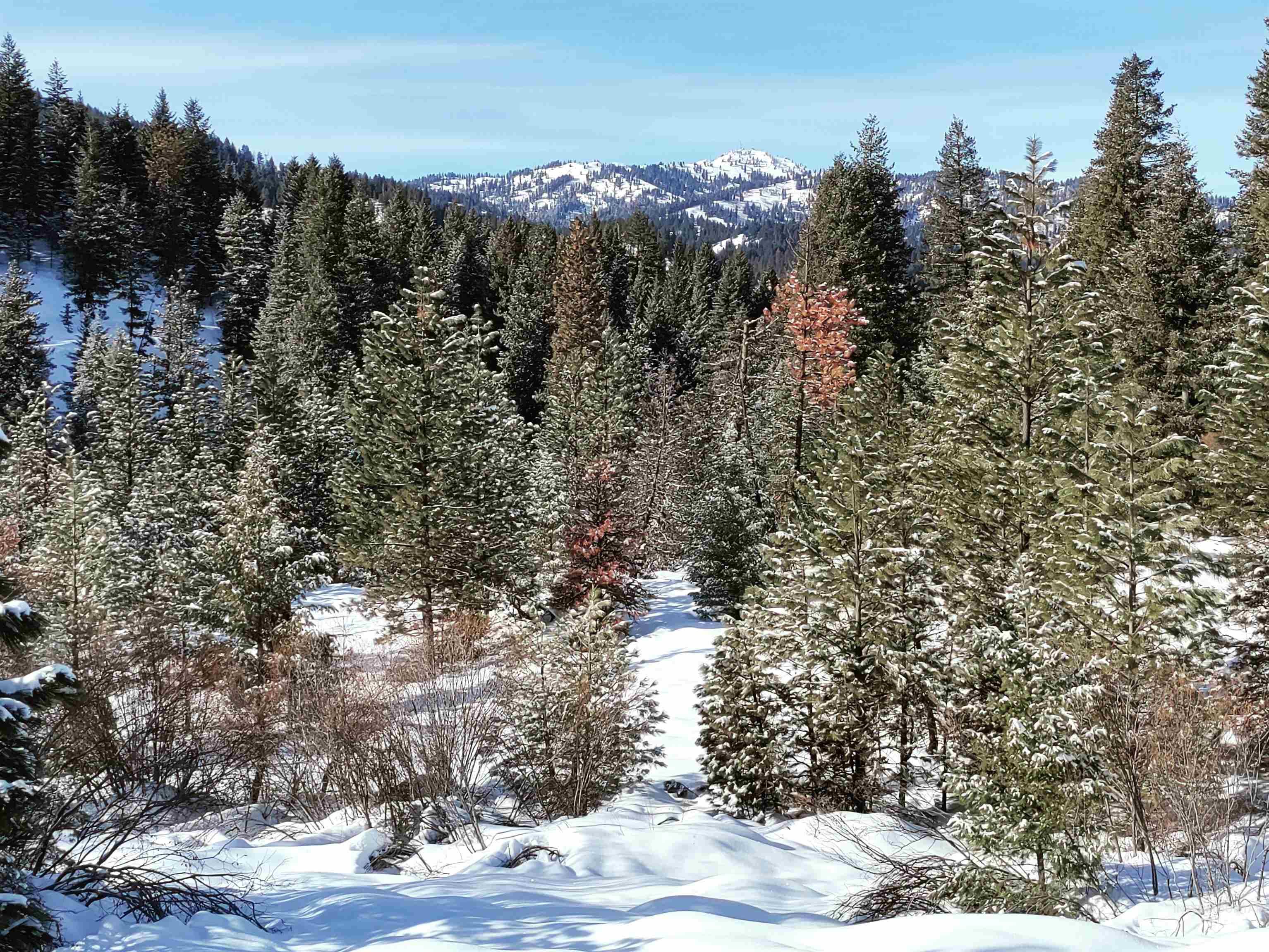 Lot 20 Crow Court, Boise, Idaho 83716, Land For Sale, Price $230,000,MLS 98985448