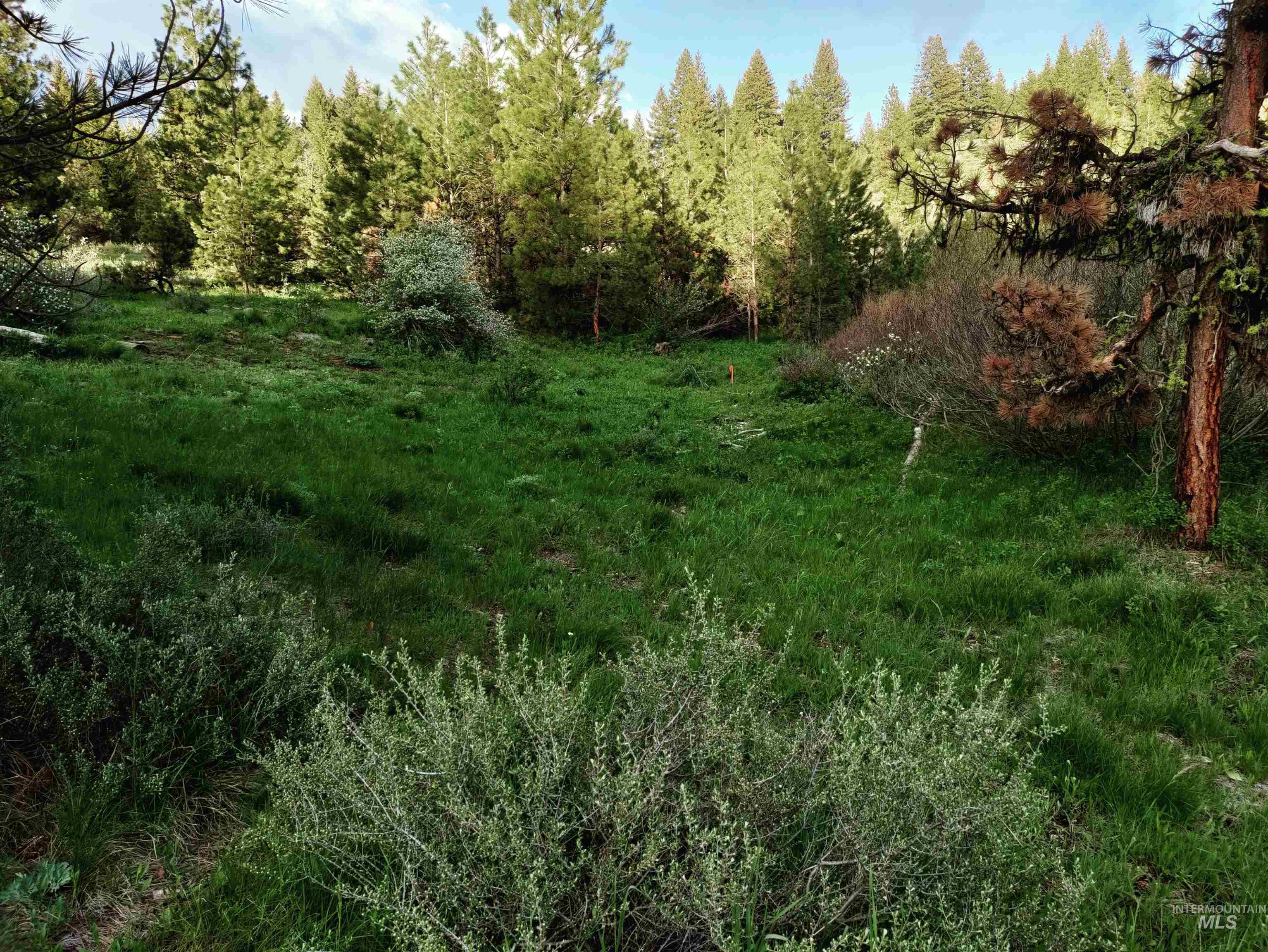 Lot 20 Crow Court, Boise, Idaho 83716, Land For Sale, Price $230,000,MLS 98985448