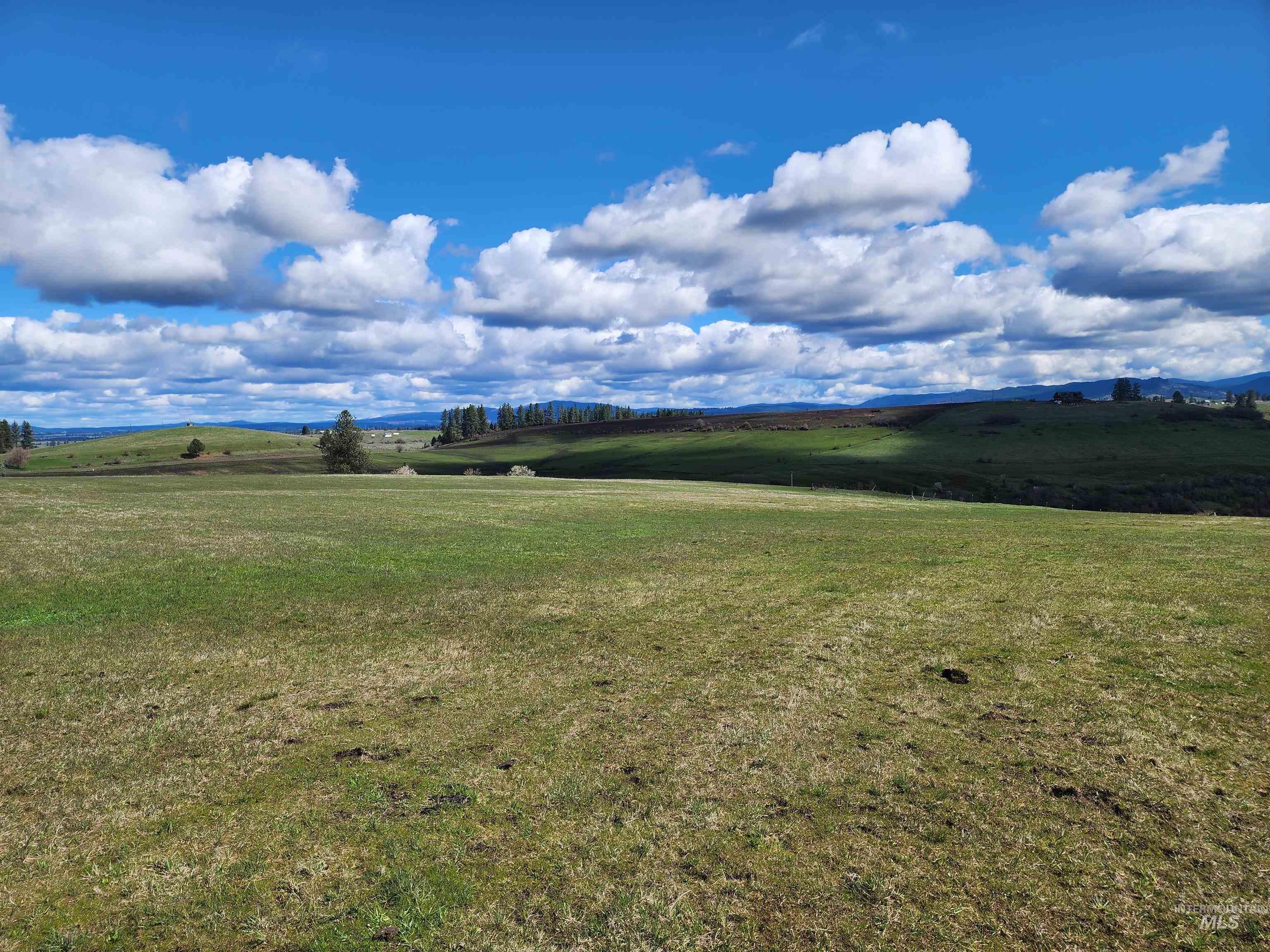 253 Brotnov Road Parcel 2, Clearwater, Idaho 83552, Land For Sale, Price $270,000, 98985452