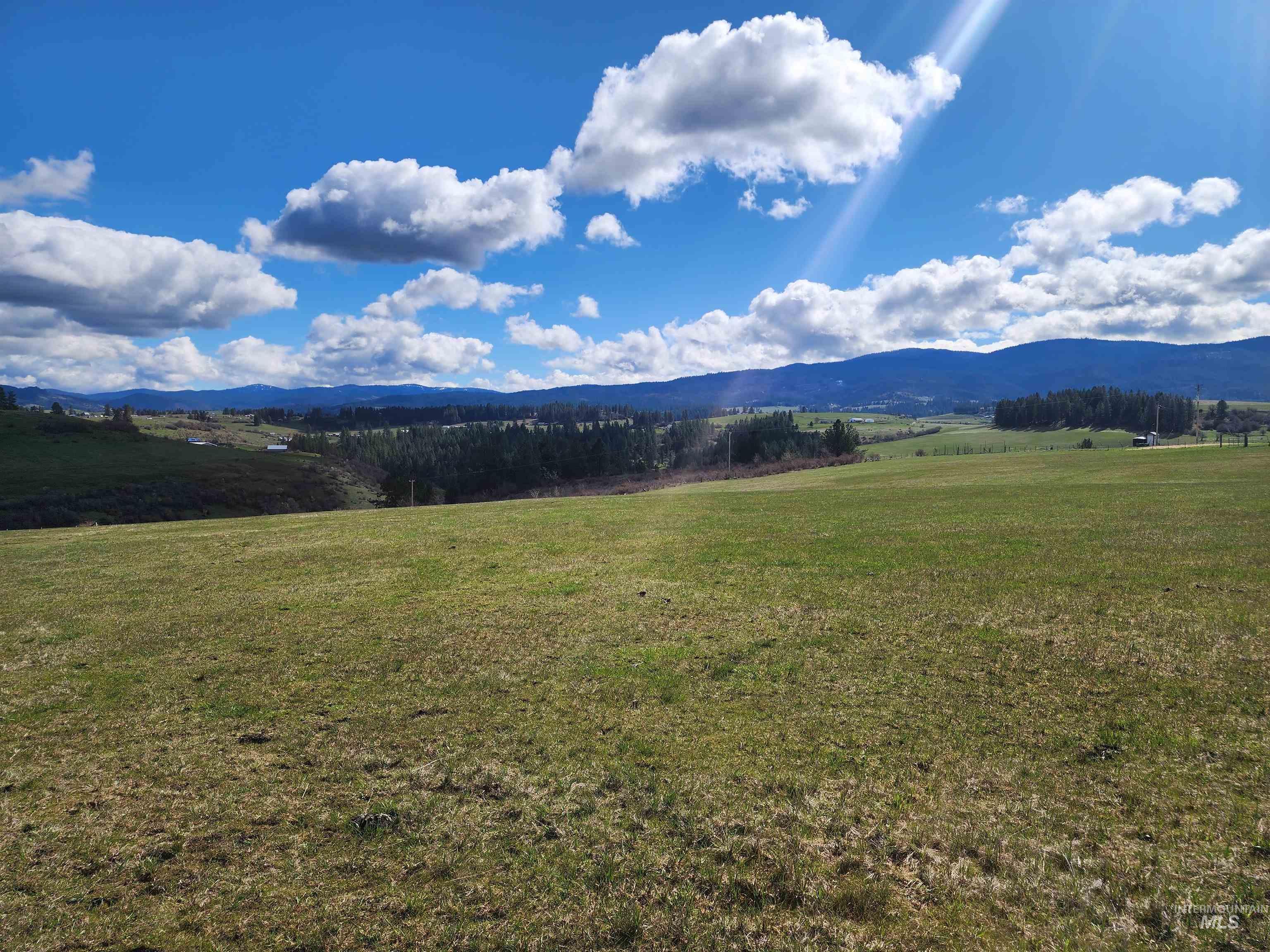 253 Brotnov Road Parcel 2, Clearwater, Idaho 83552, Land For Sale, Price $270,000,MLS 98985452