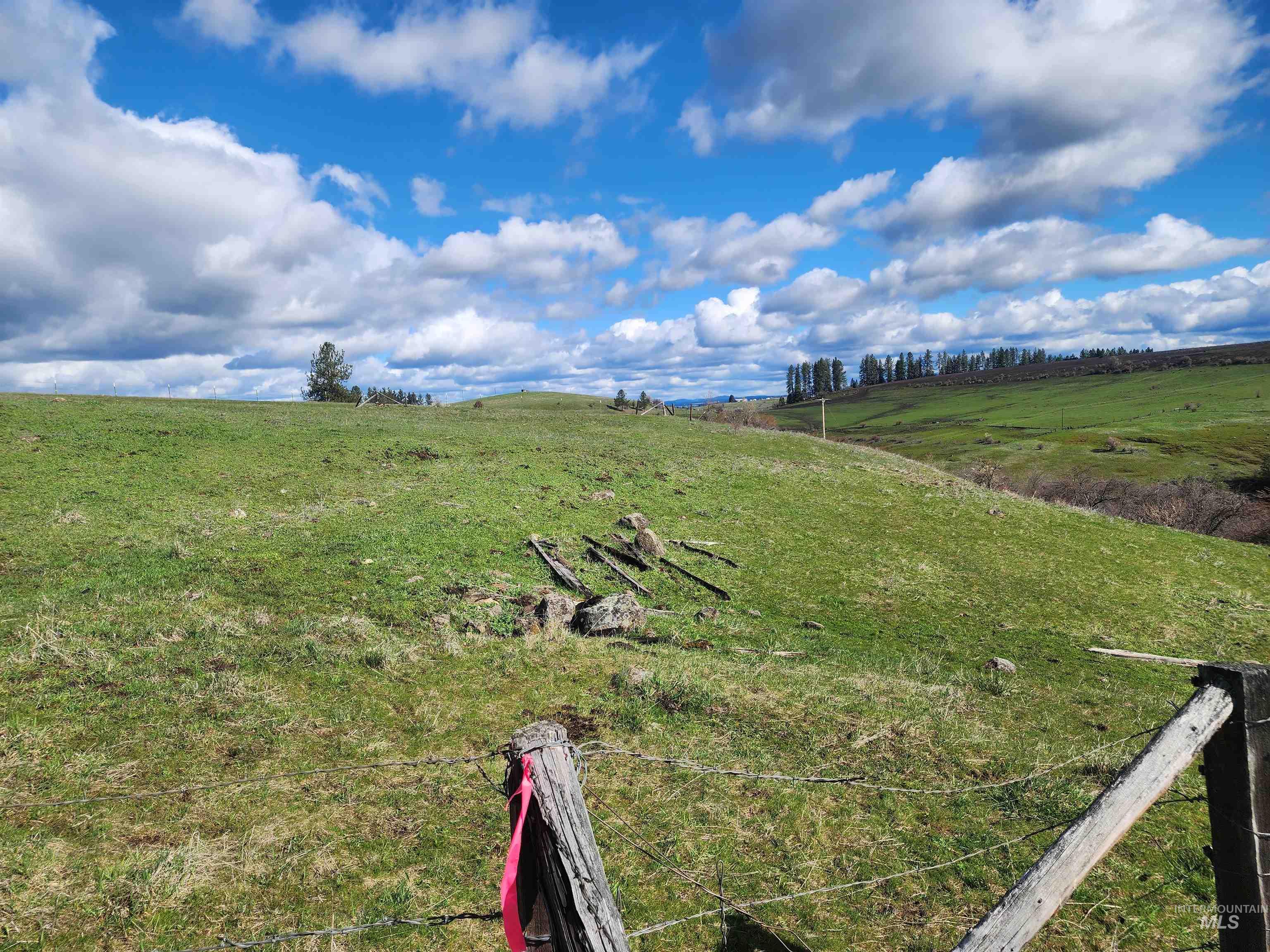253 Brotnov Road Parcel 2, Clearwater, Idaho 83552, Land For Sale, Price $270,000,MLS 98985452